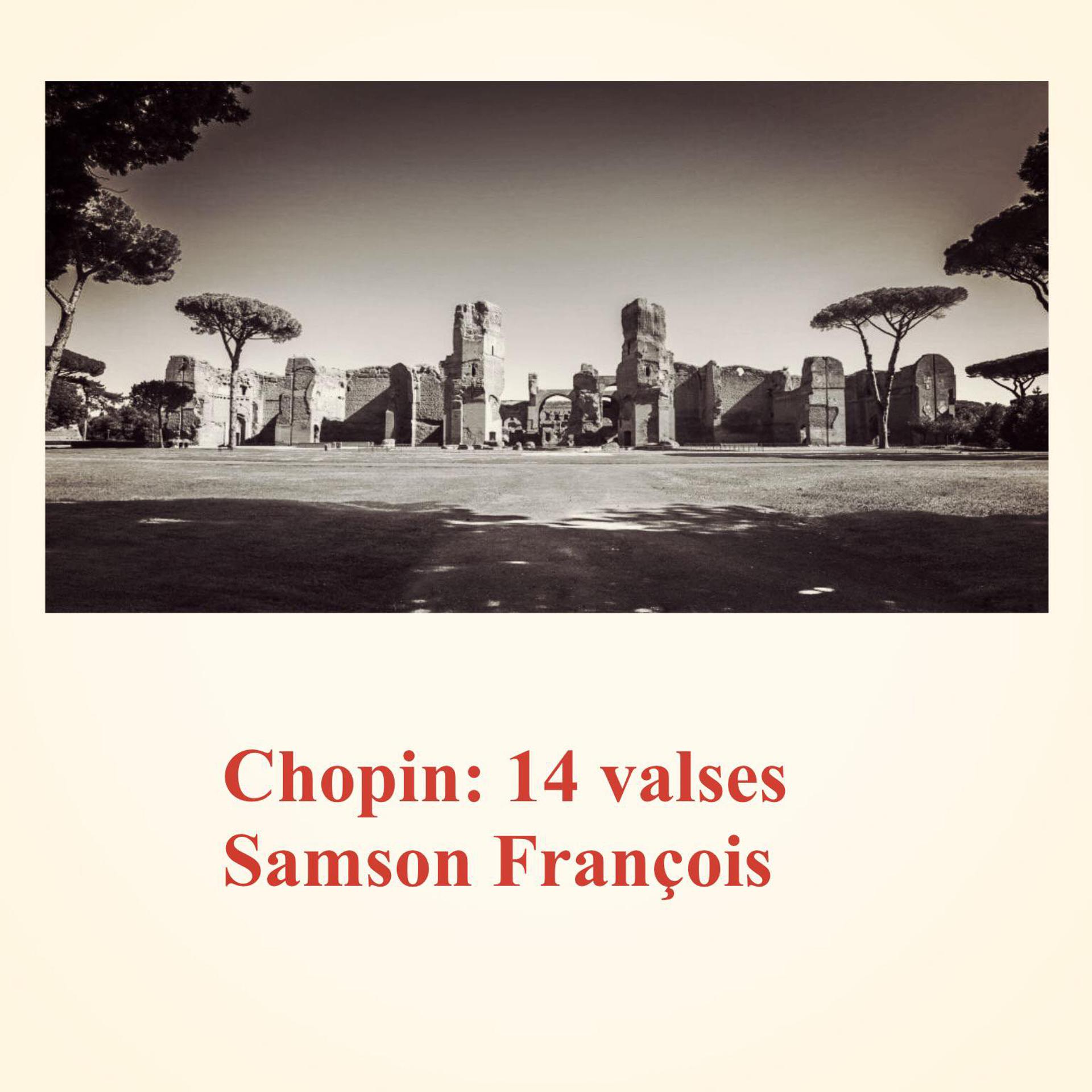 Постер альбома Chopin: 14 Valses