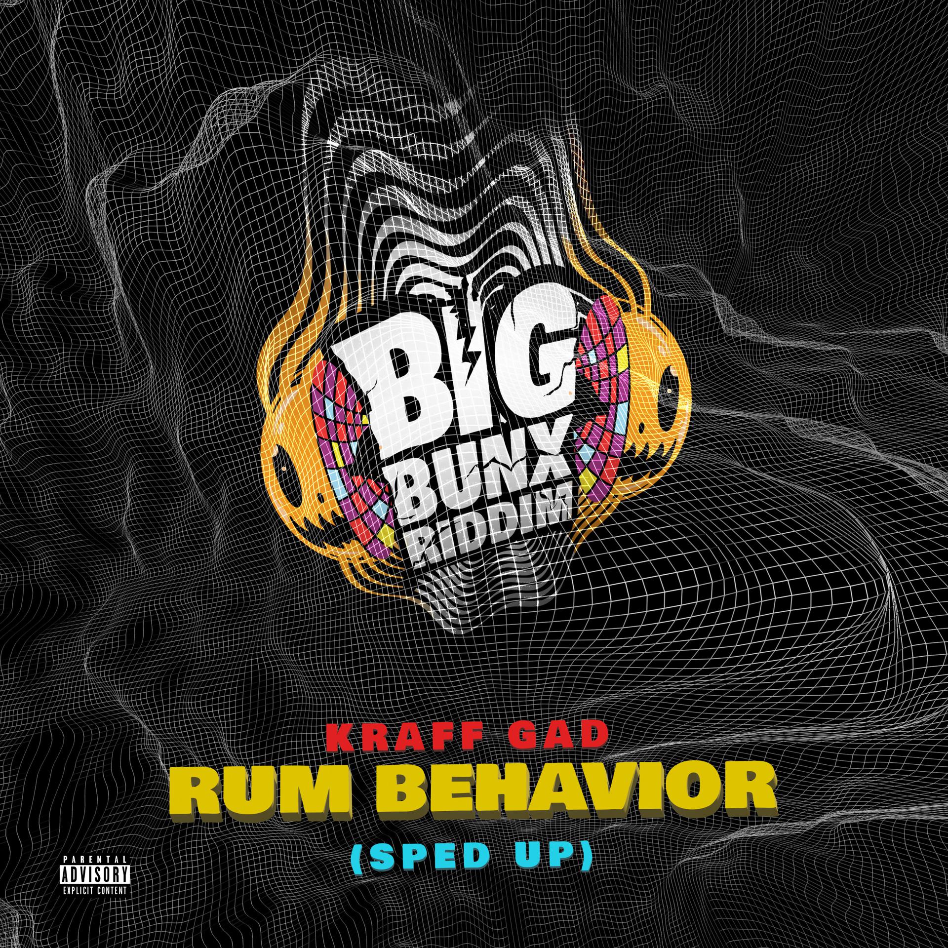 Постер альбома Rum Behavior - Sped Up