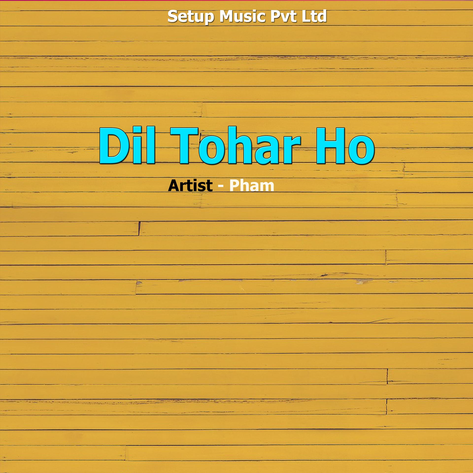 Постер альбома Dil Tohar Ho
