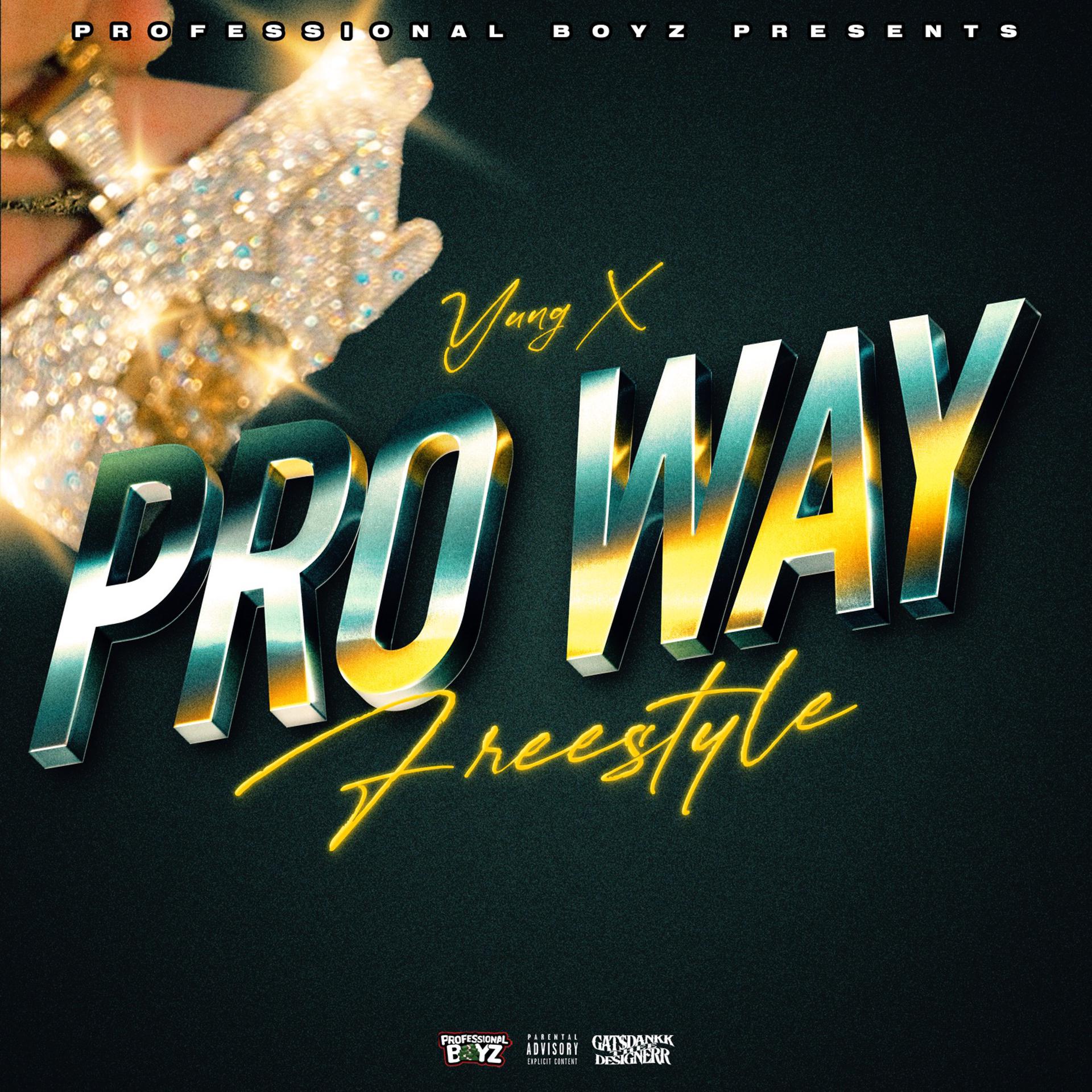 Постер альбома Pro Way Freestyle