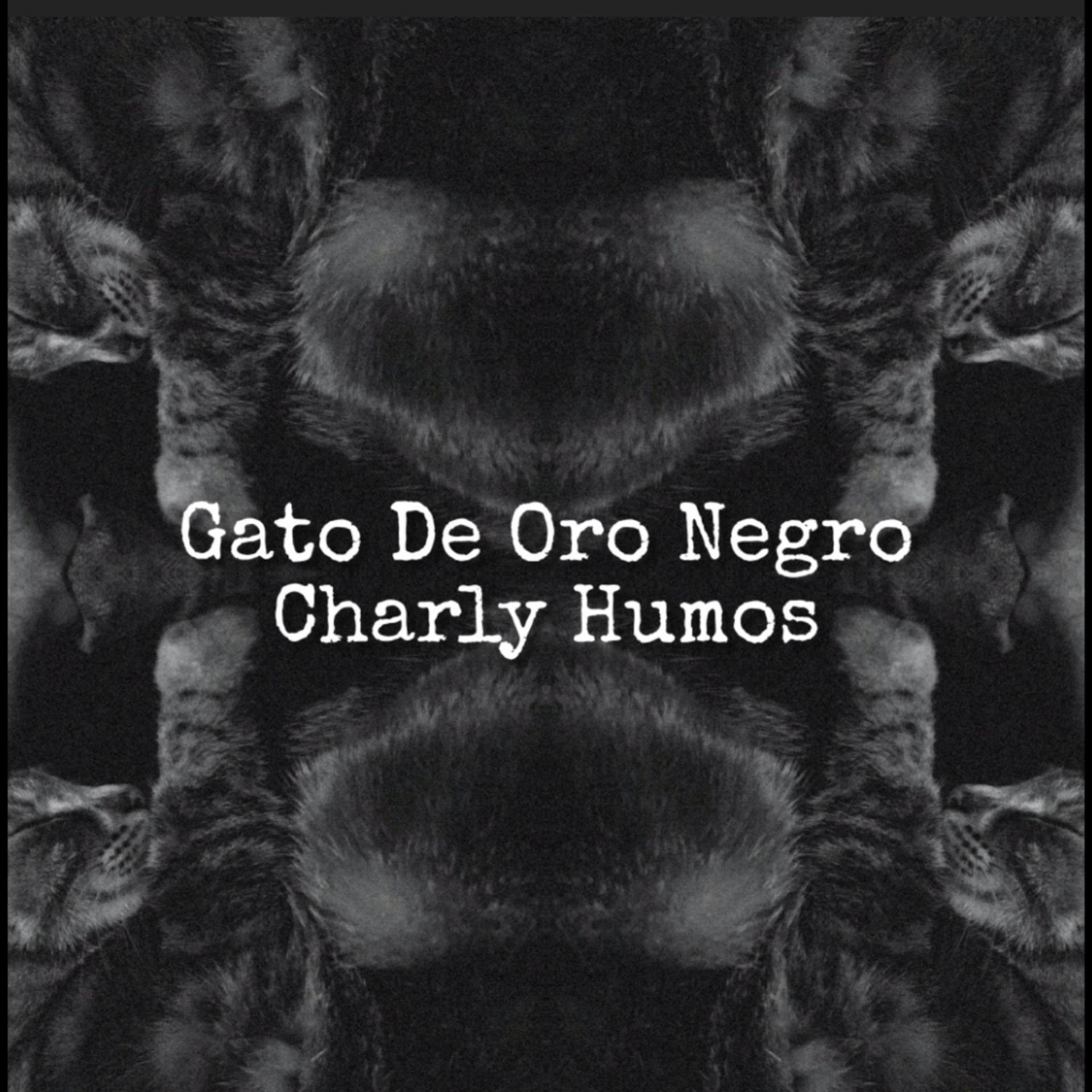 Постер альбома Gato De Oro Negro