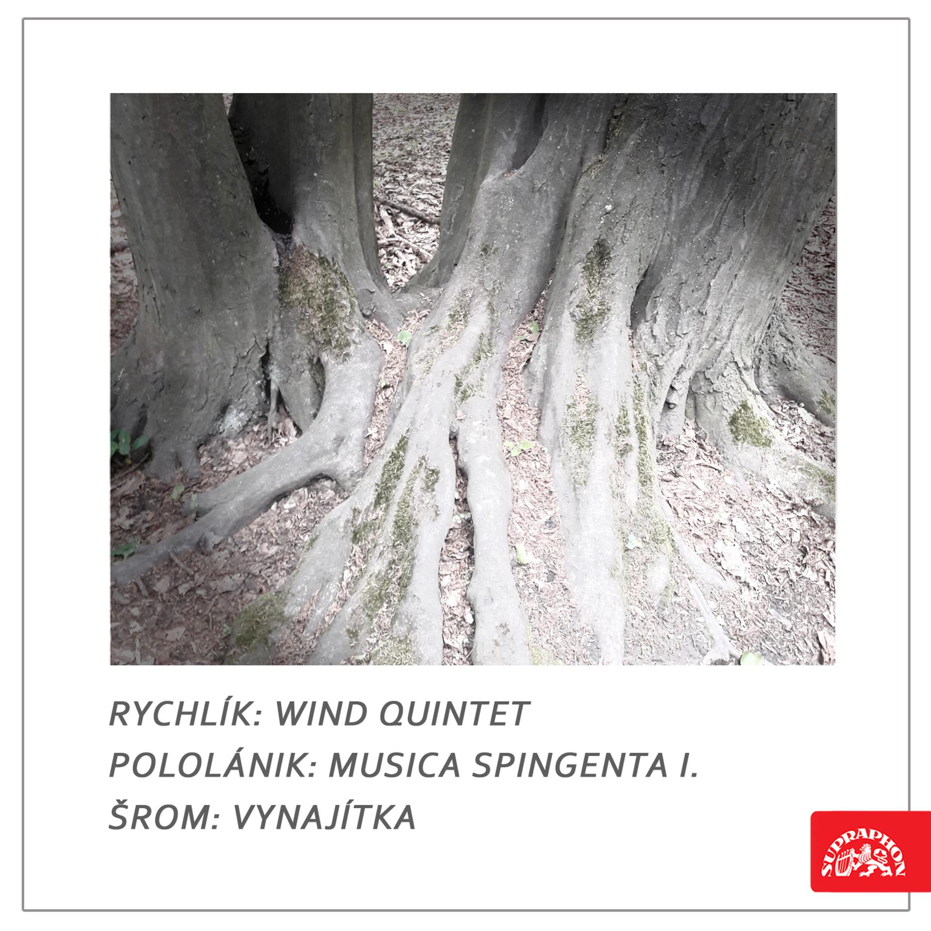 Постер альбома Rychlík: Wind Quintet - Pololánik: Musica spingenta I. - Šrom: Vynajítka