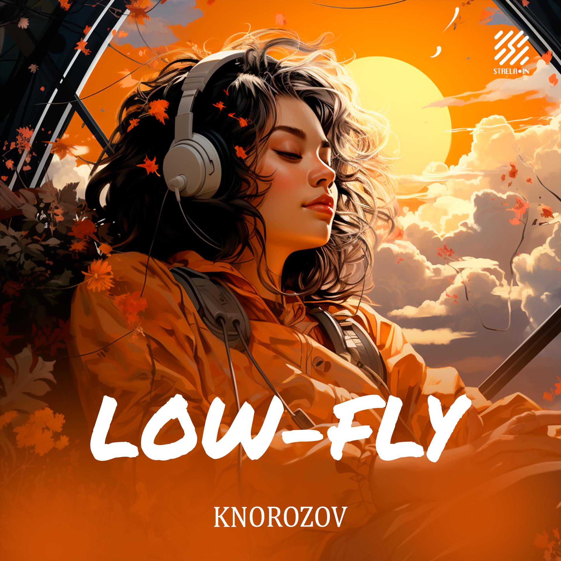 Постер альбома Low-Fly