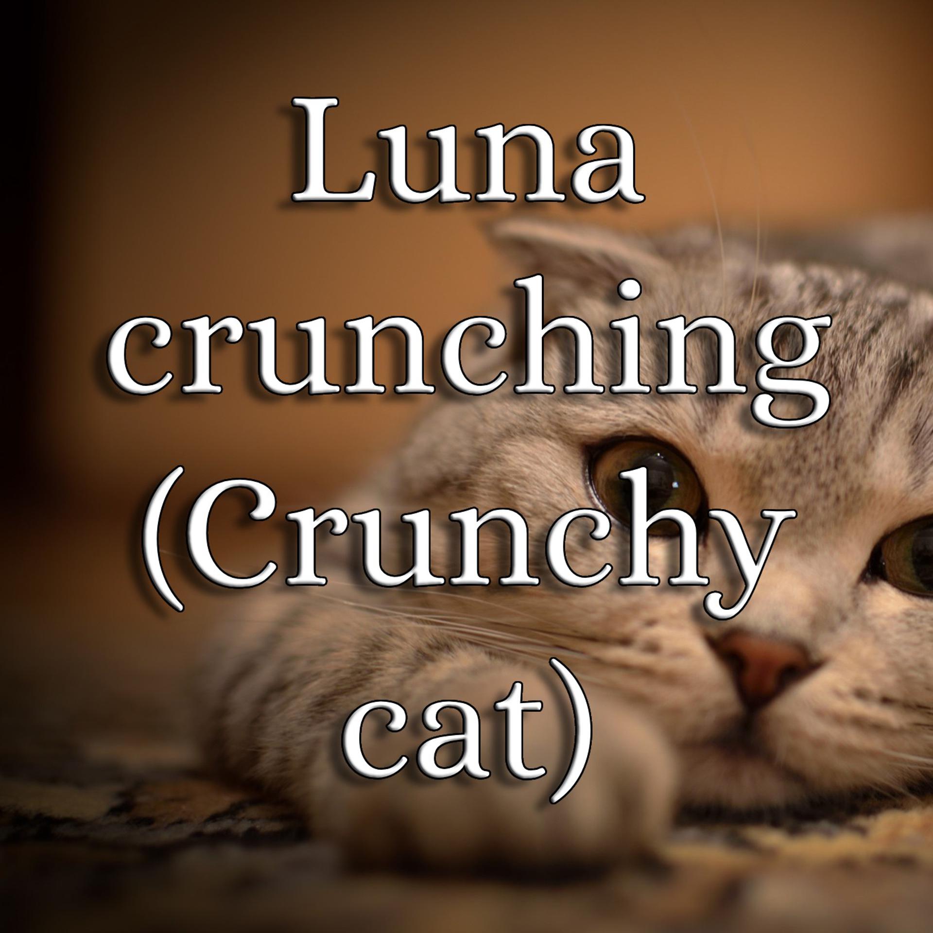 Постер альбома Luna Crunching (Crunchy Cat)