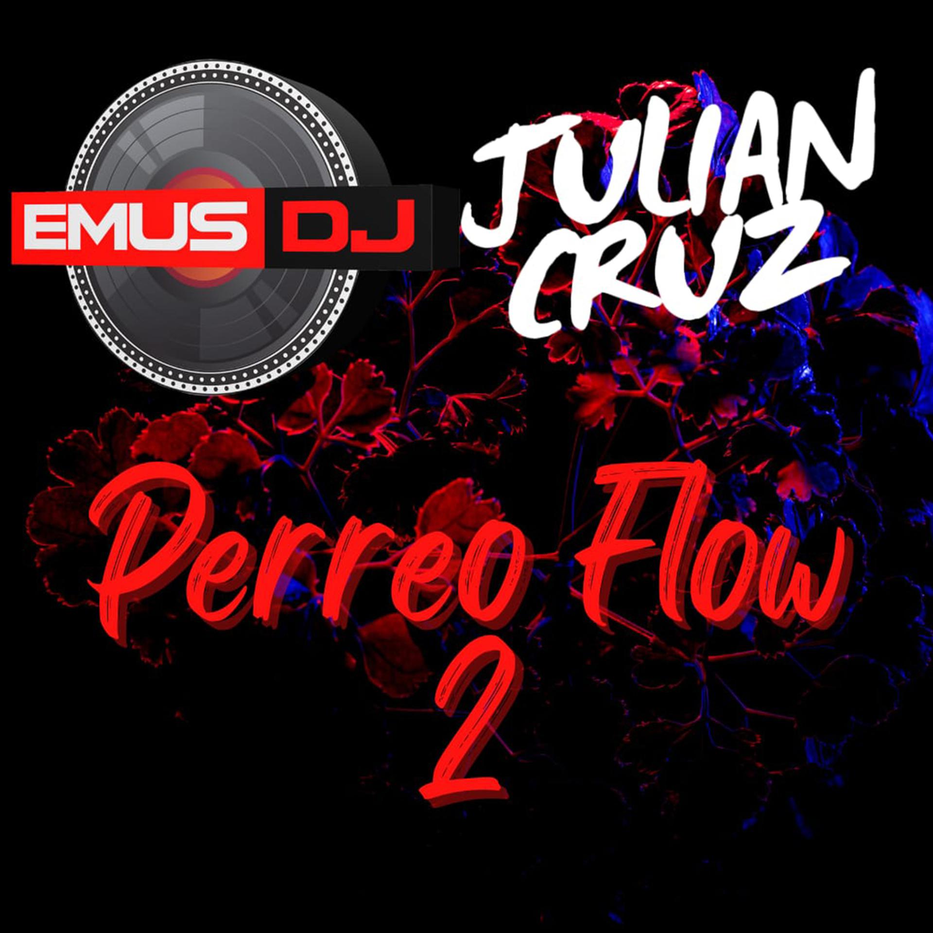 Постер альбома Perreo Flow 2