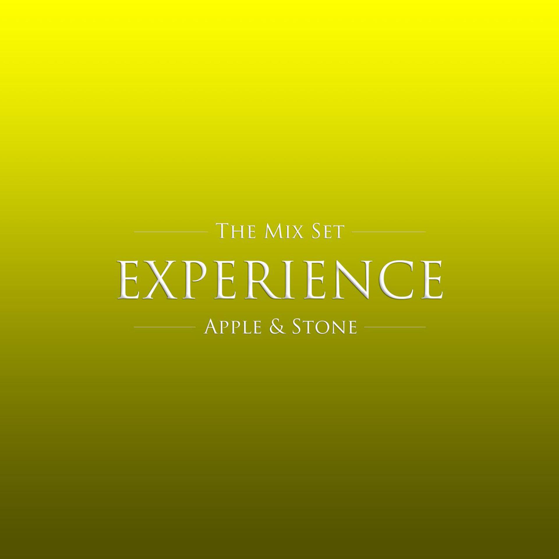 Постер альбома Experience (The Mix Set)
