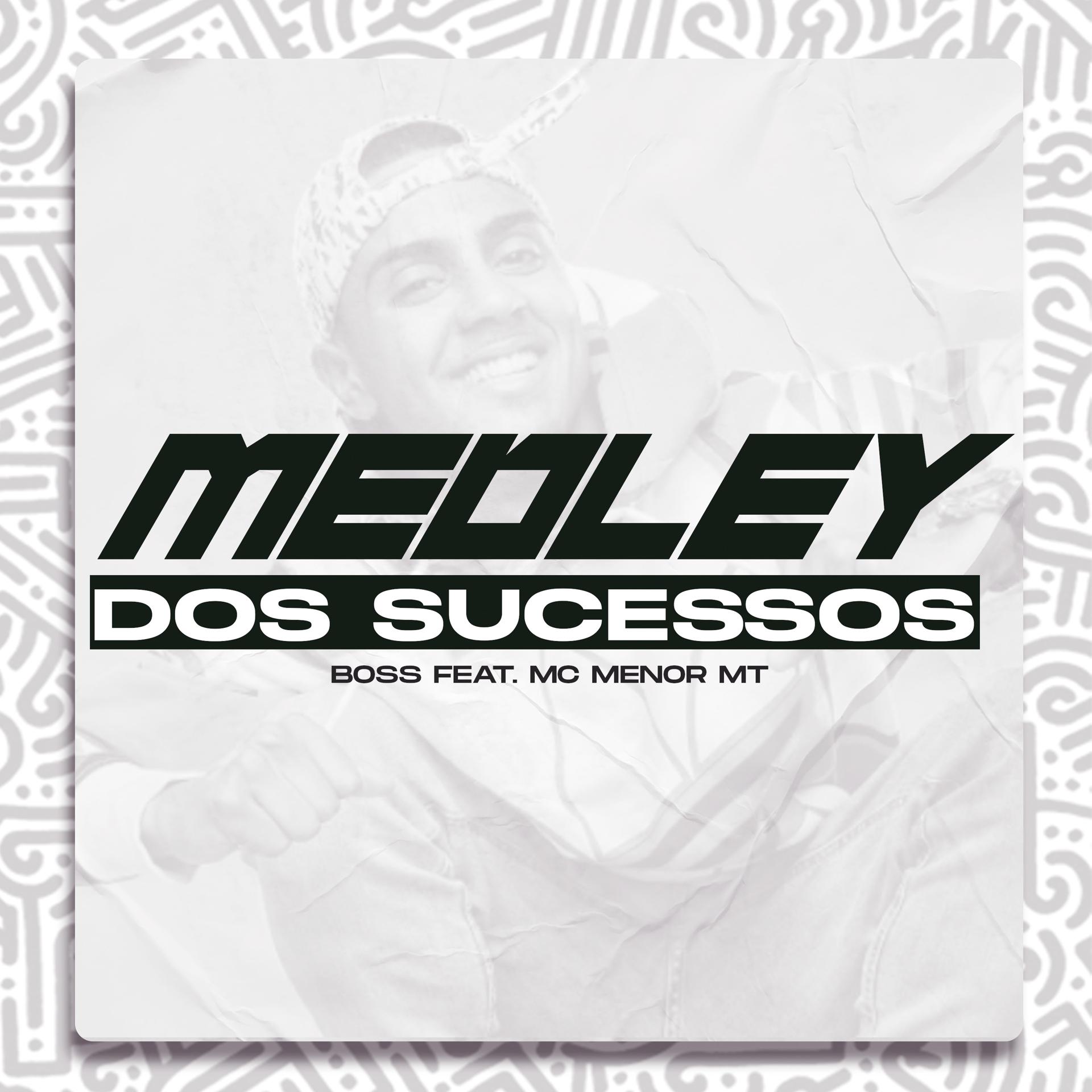 Постер альбома Medley dos Sucessos