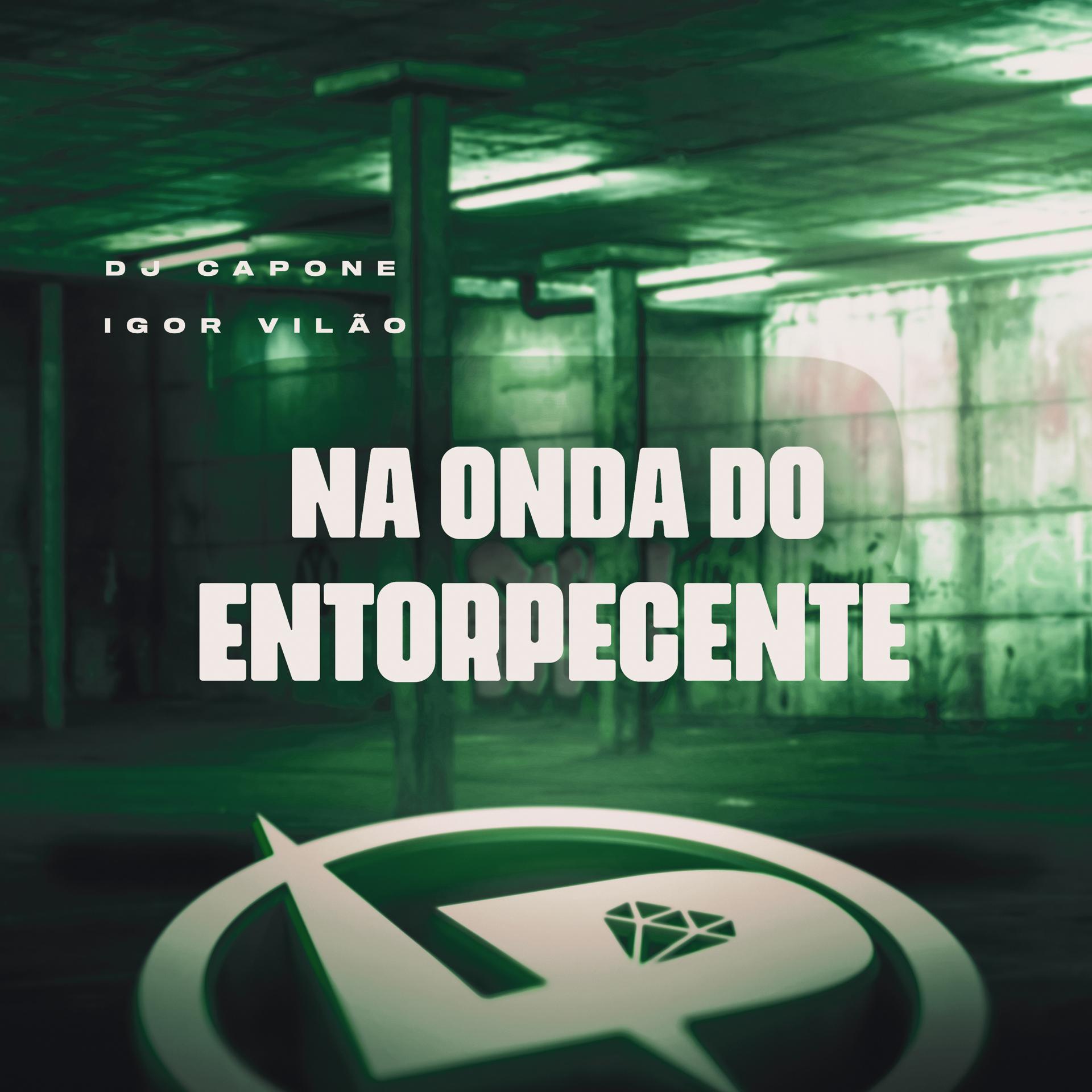 Постер альбома Na Onda do Entorpecente