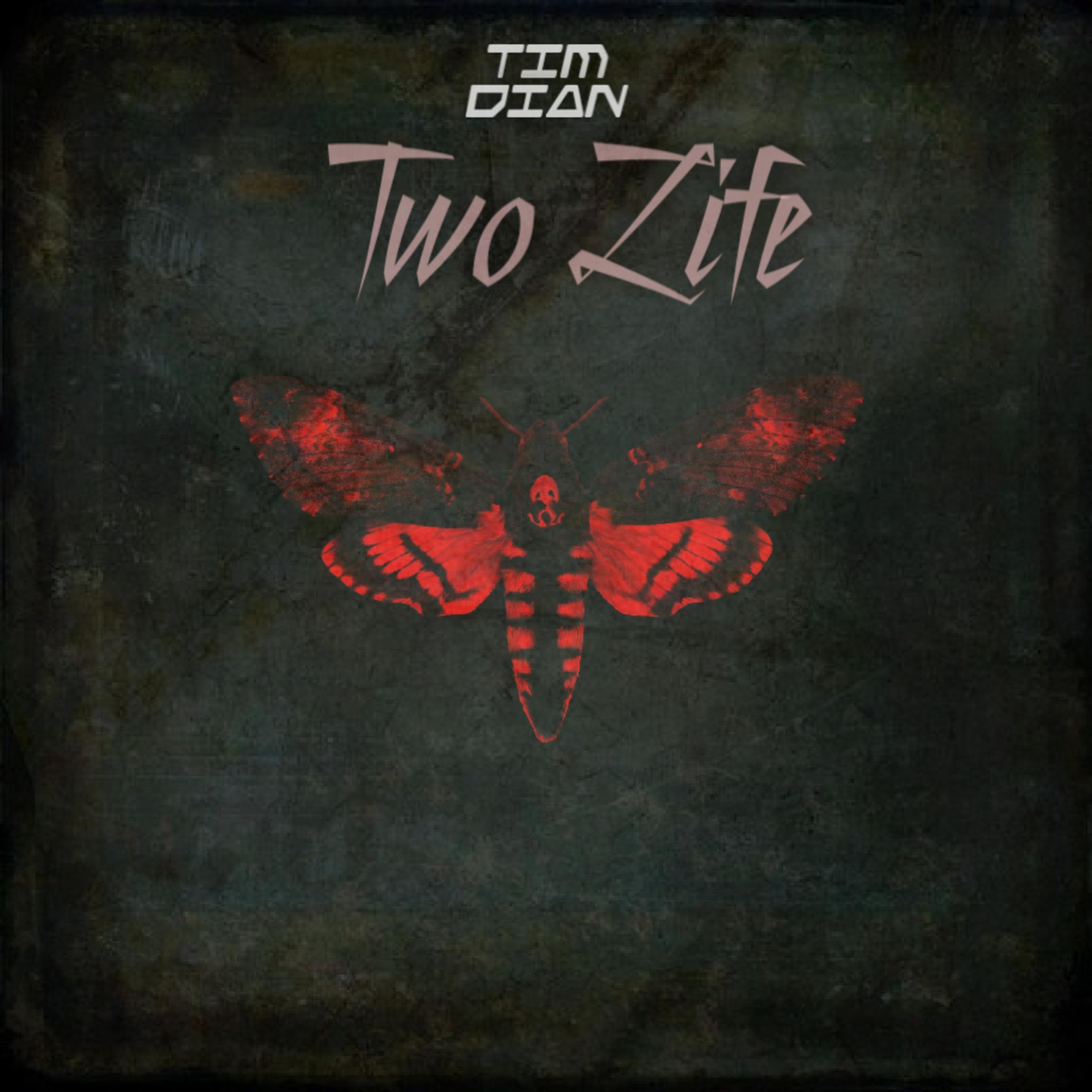 Постер альбома Two Life