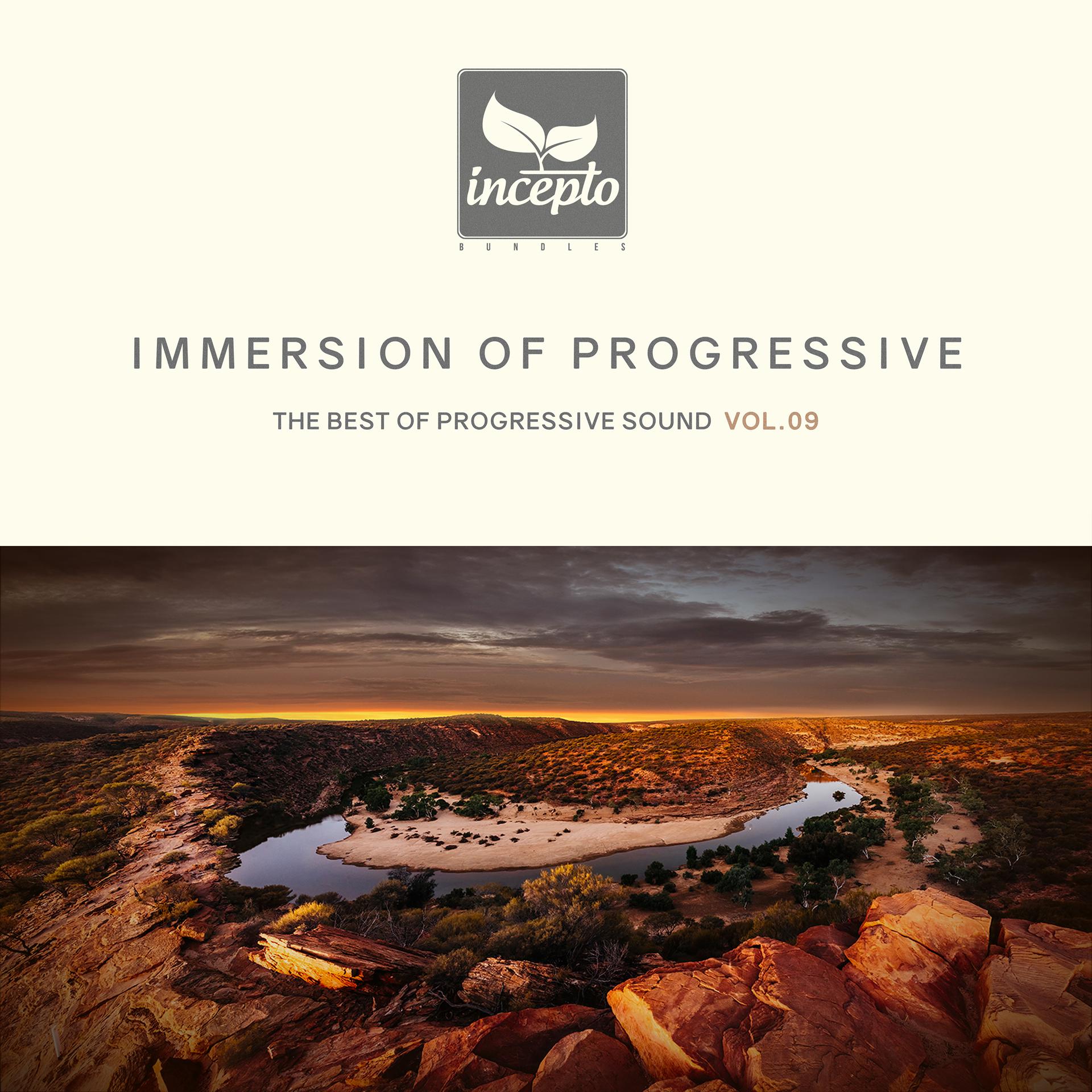 Постер альбома Immersion of Progressive, Vol. 9