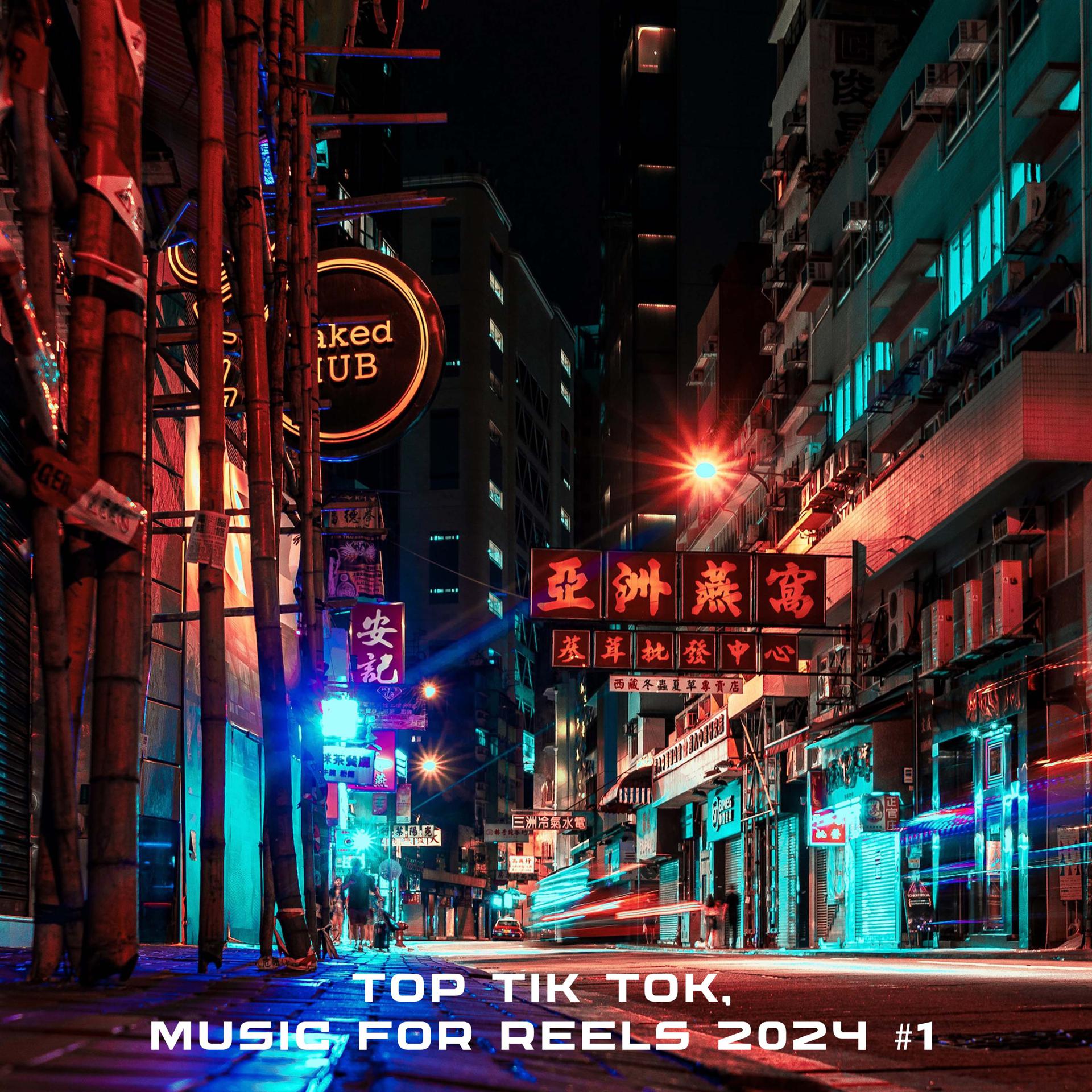 Постер альбома TOP TIK TOK, MUSIC FOR REELS 2024 #1