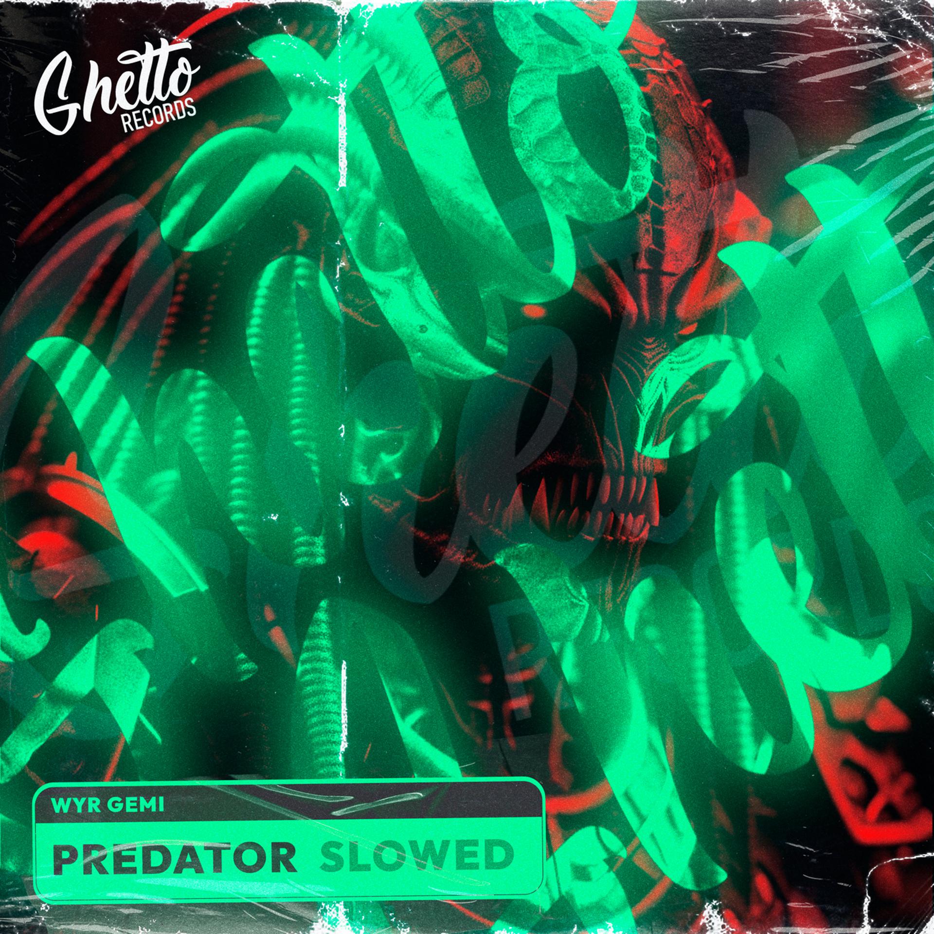 Постер альбома Predator (Slowed)