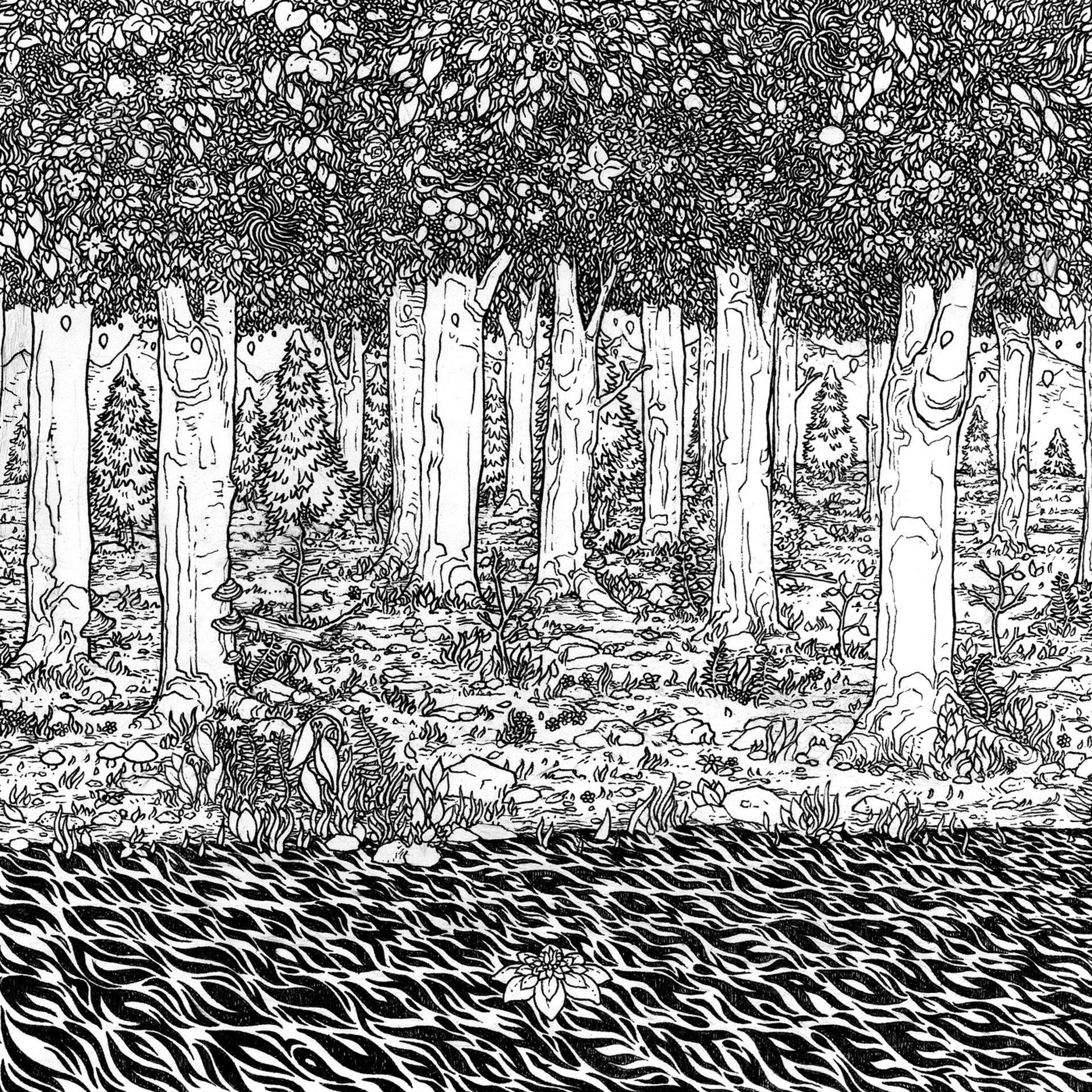 Постер альбома Through the Trees