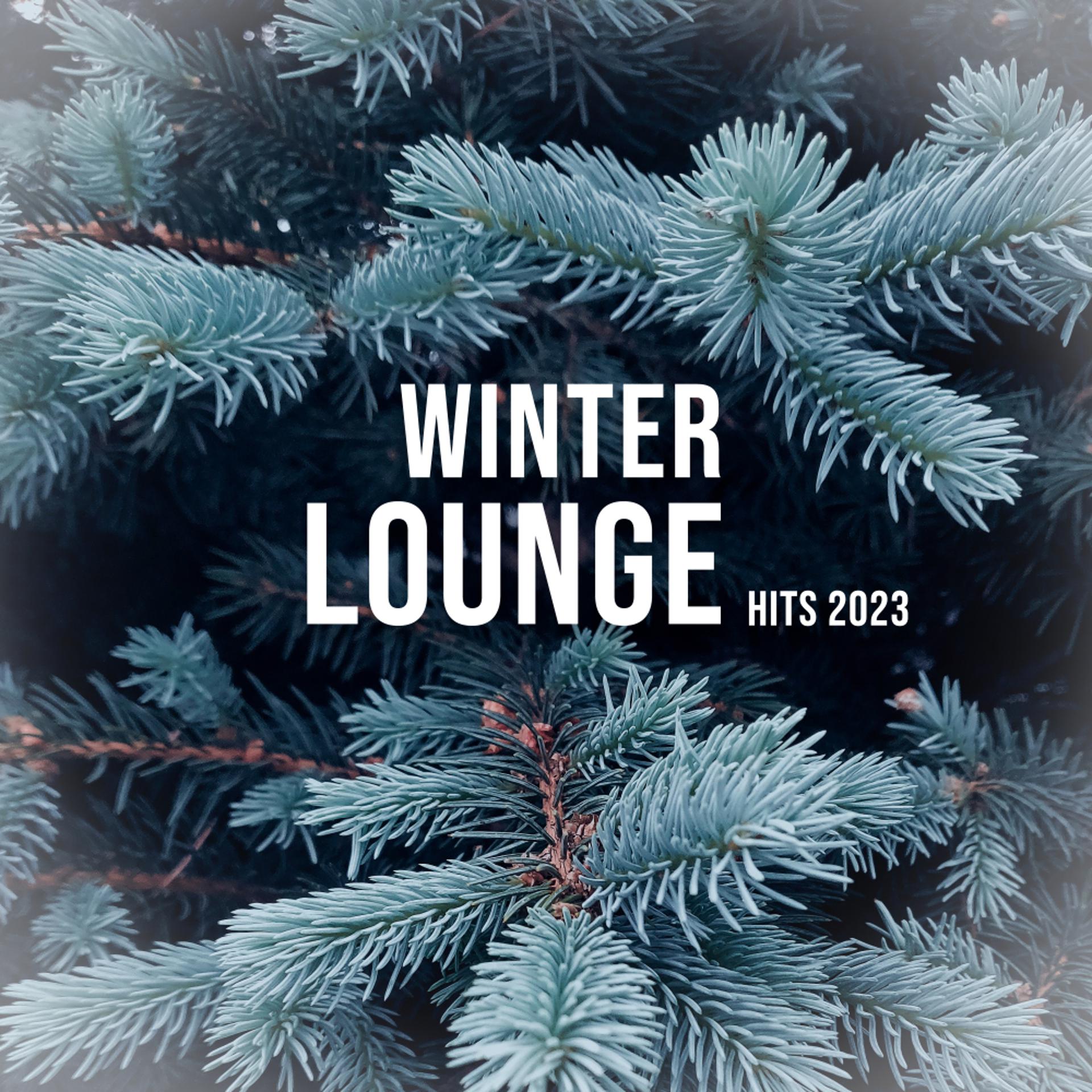 Постер альбома Winter Lounge Hits 2023