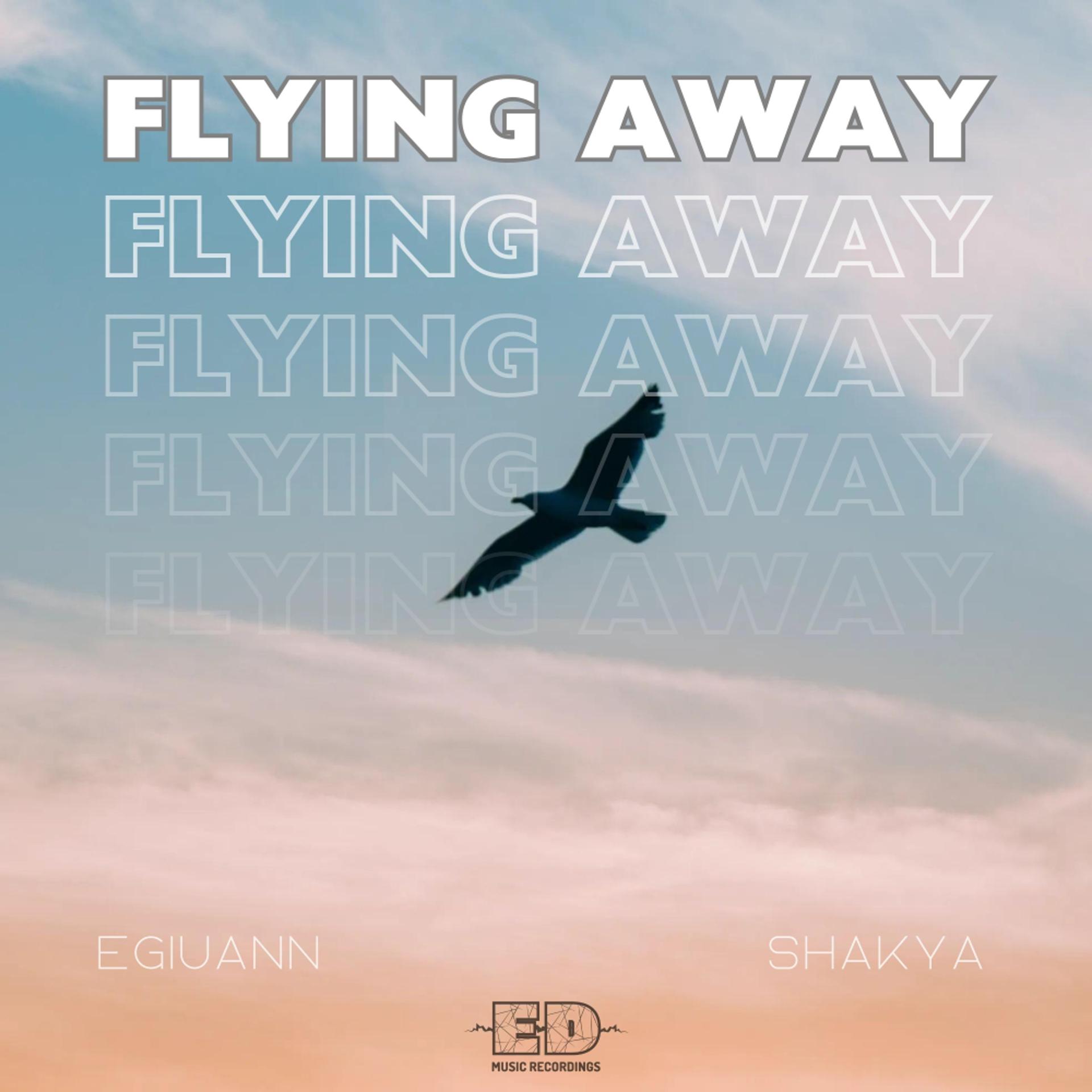 Постер альбома Flying Away
