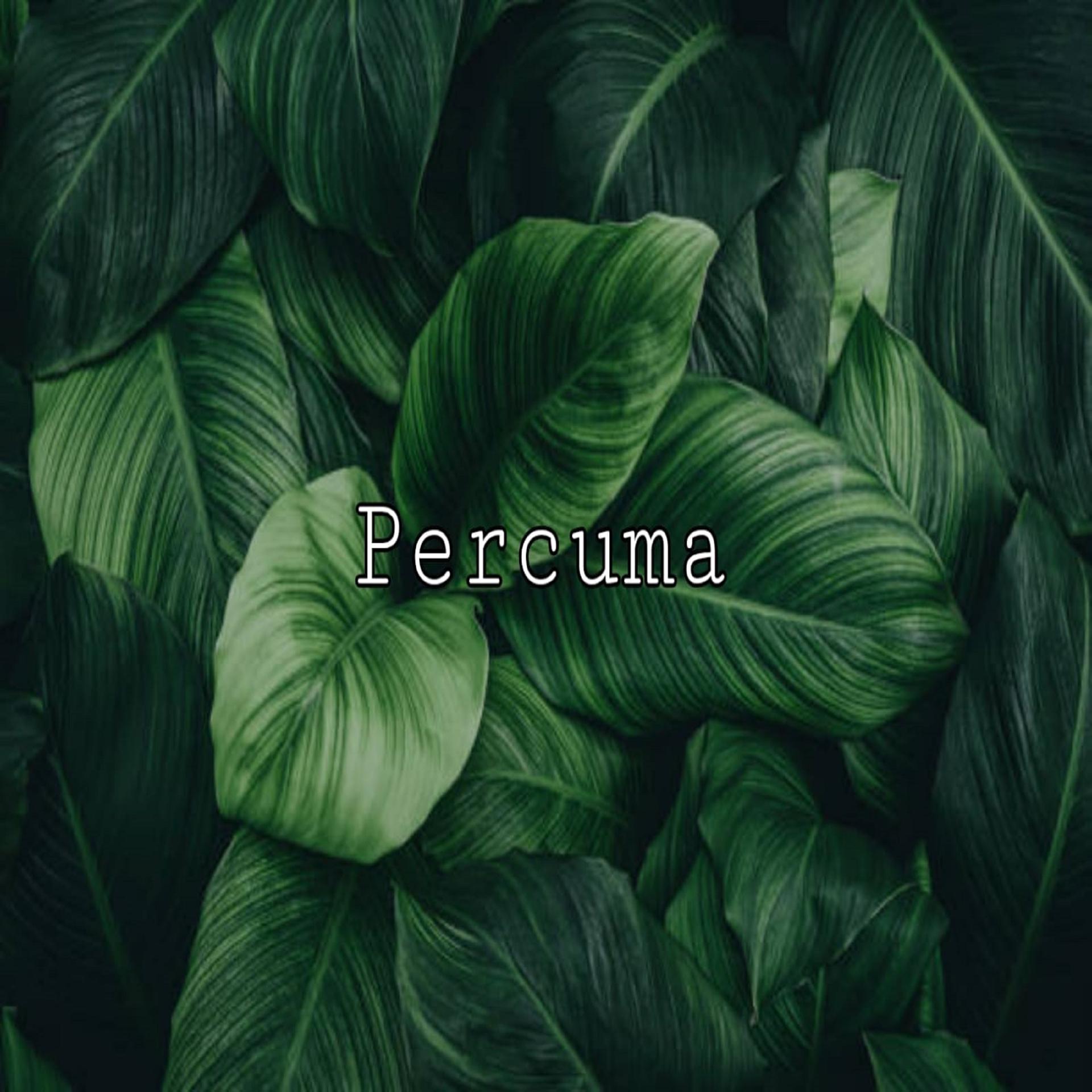 Постер альбома Percuma