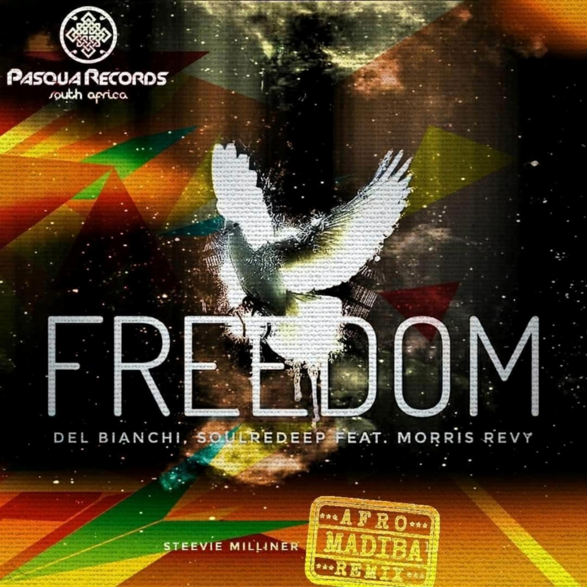 Постер альбома Freedom (Steevie Milliner Afro Madiba Remix)