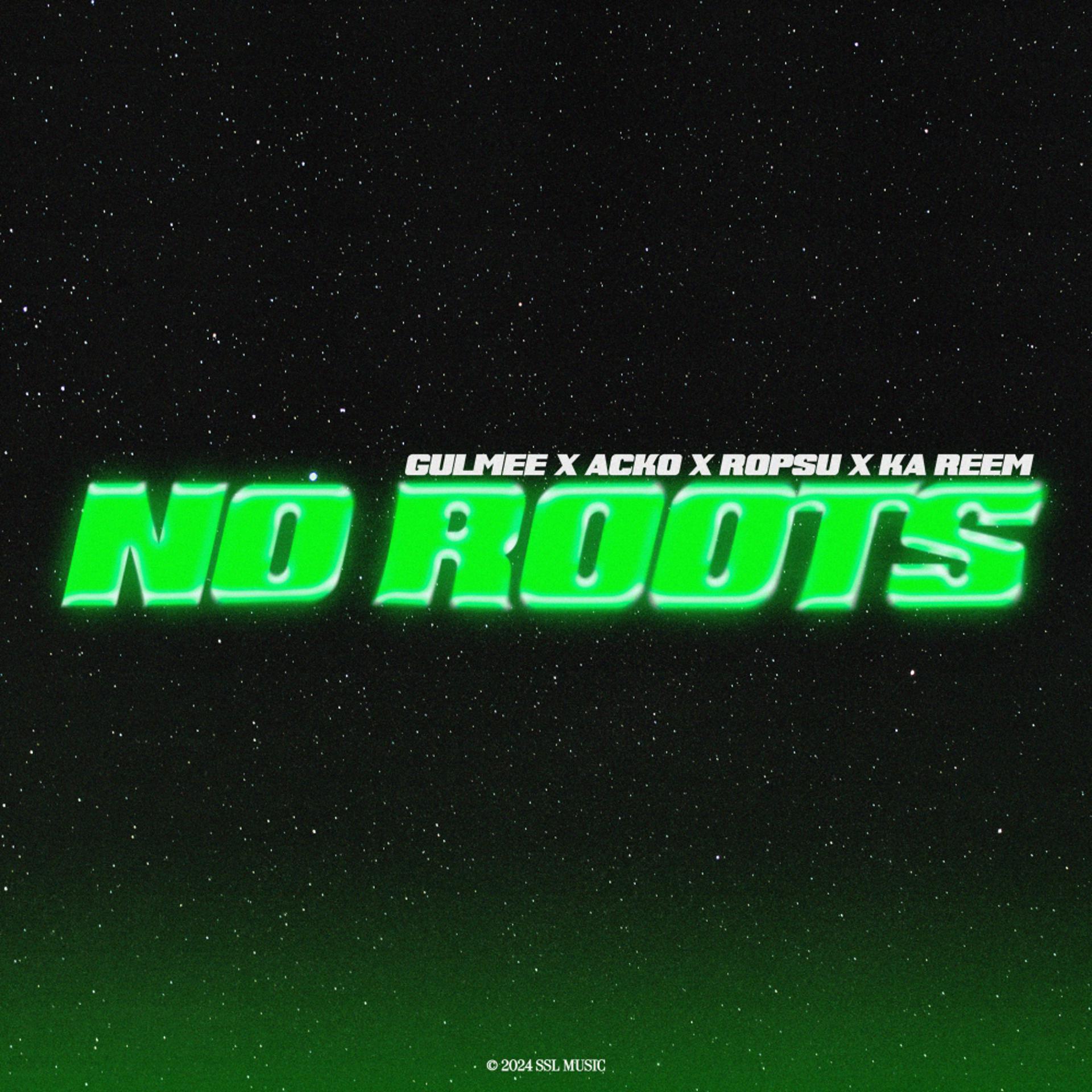 Постер альбома No Roots