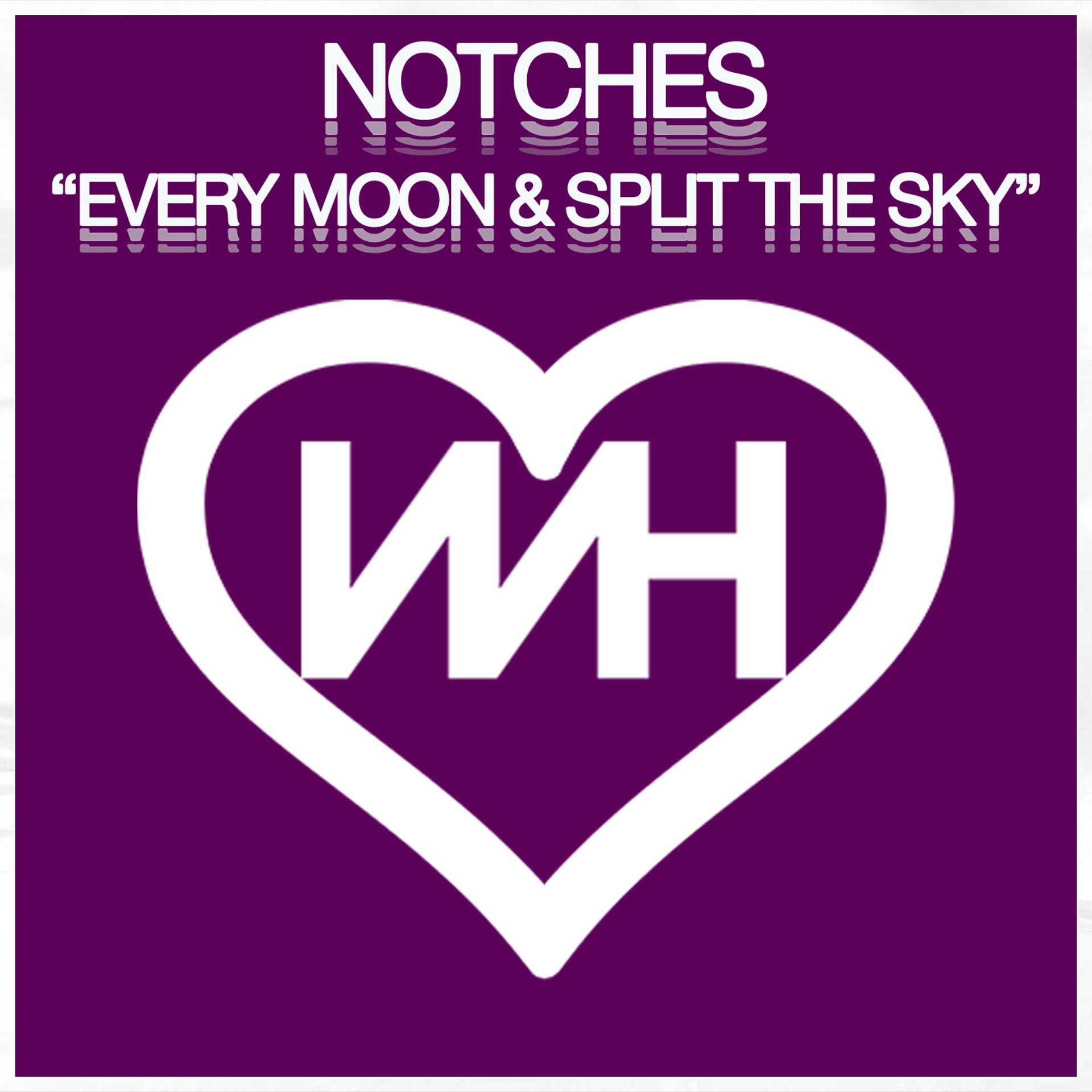 Постер альбома Every Moon / Split The Sky