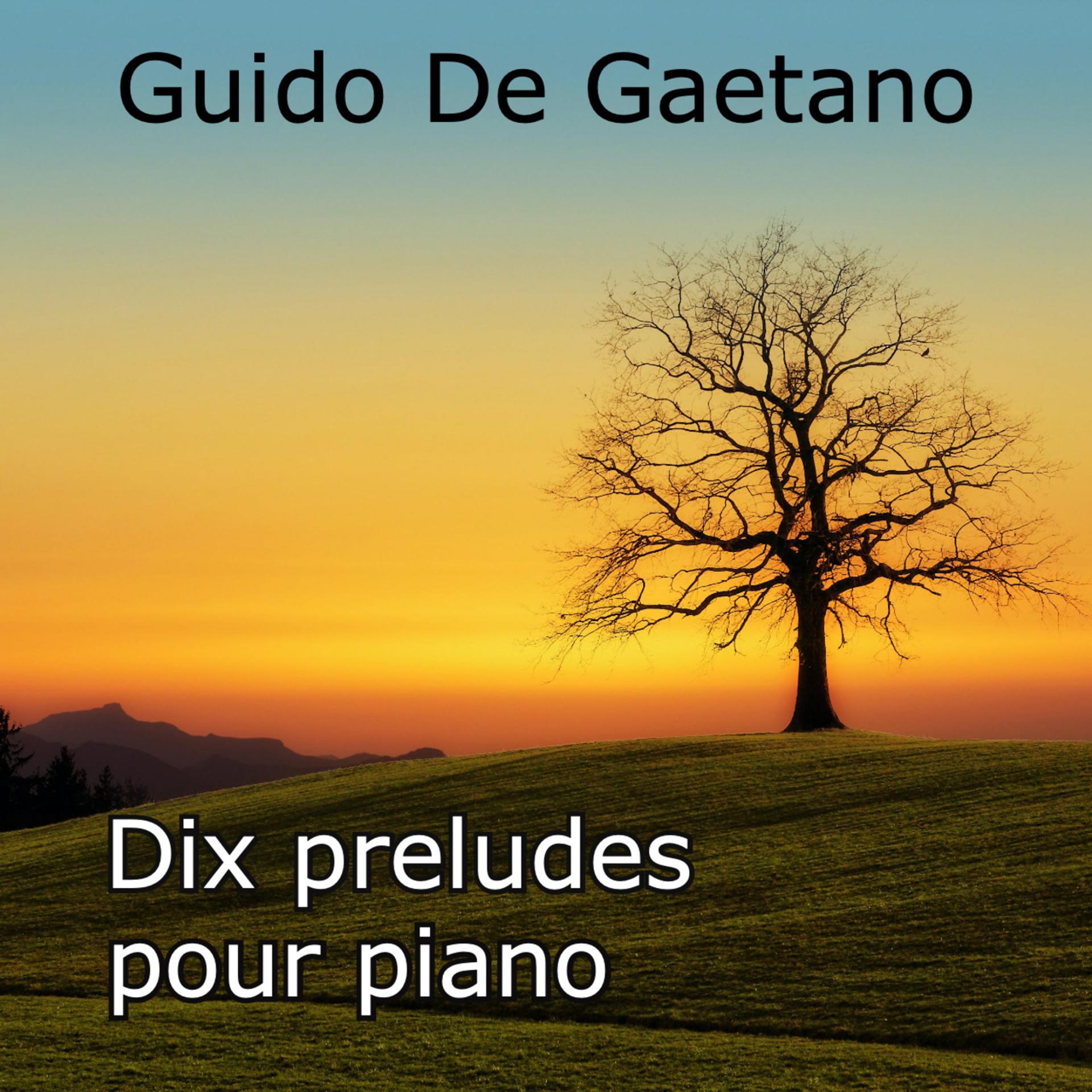 Постер альбома Dix preludes pour piano