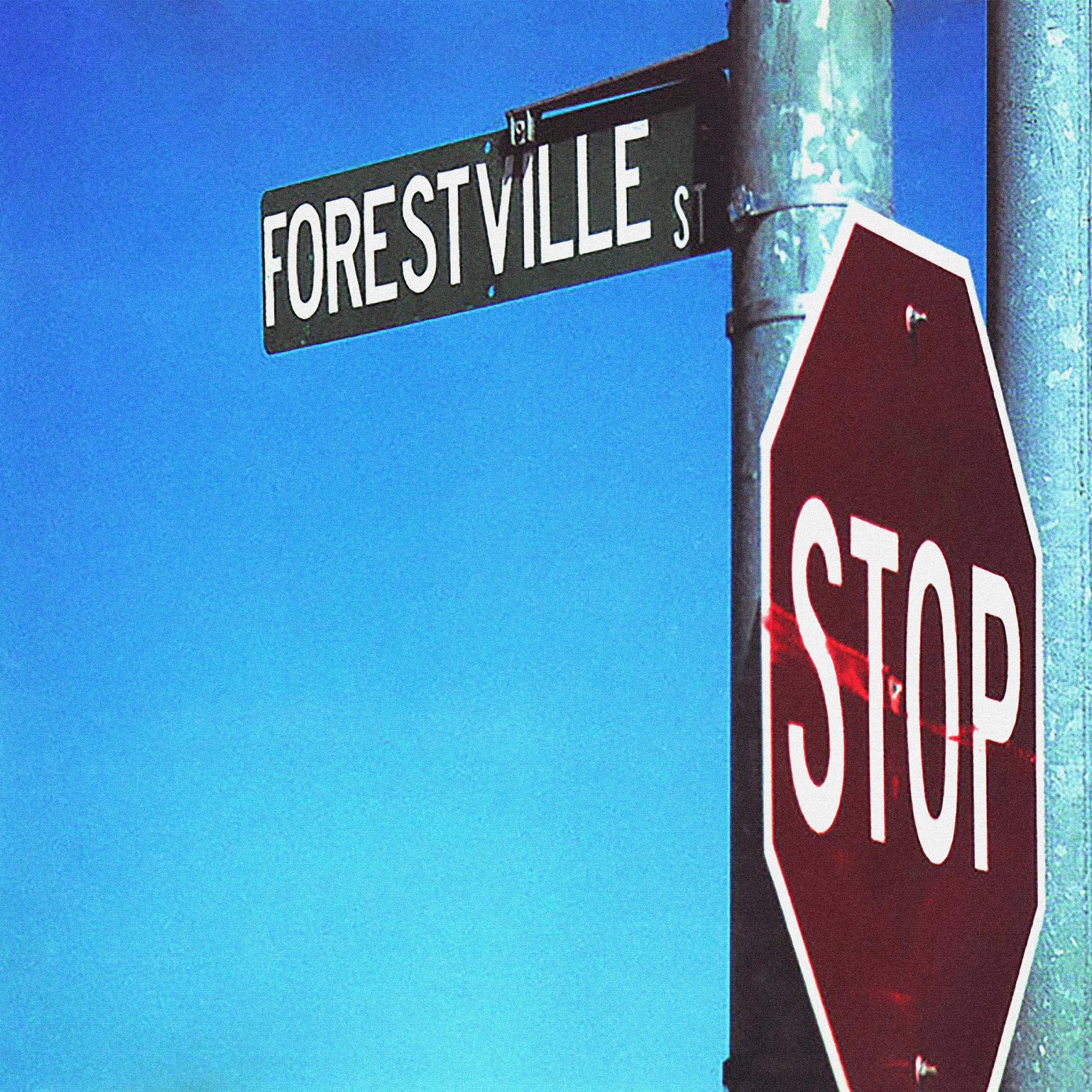 Постер альбома 924 Forestville St.