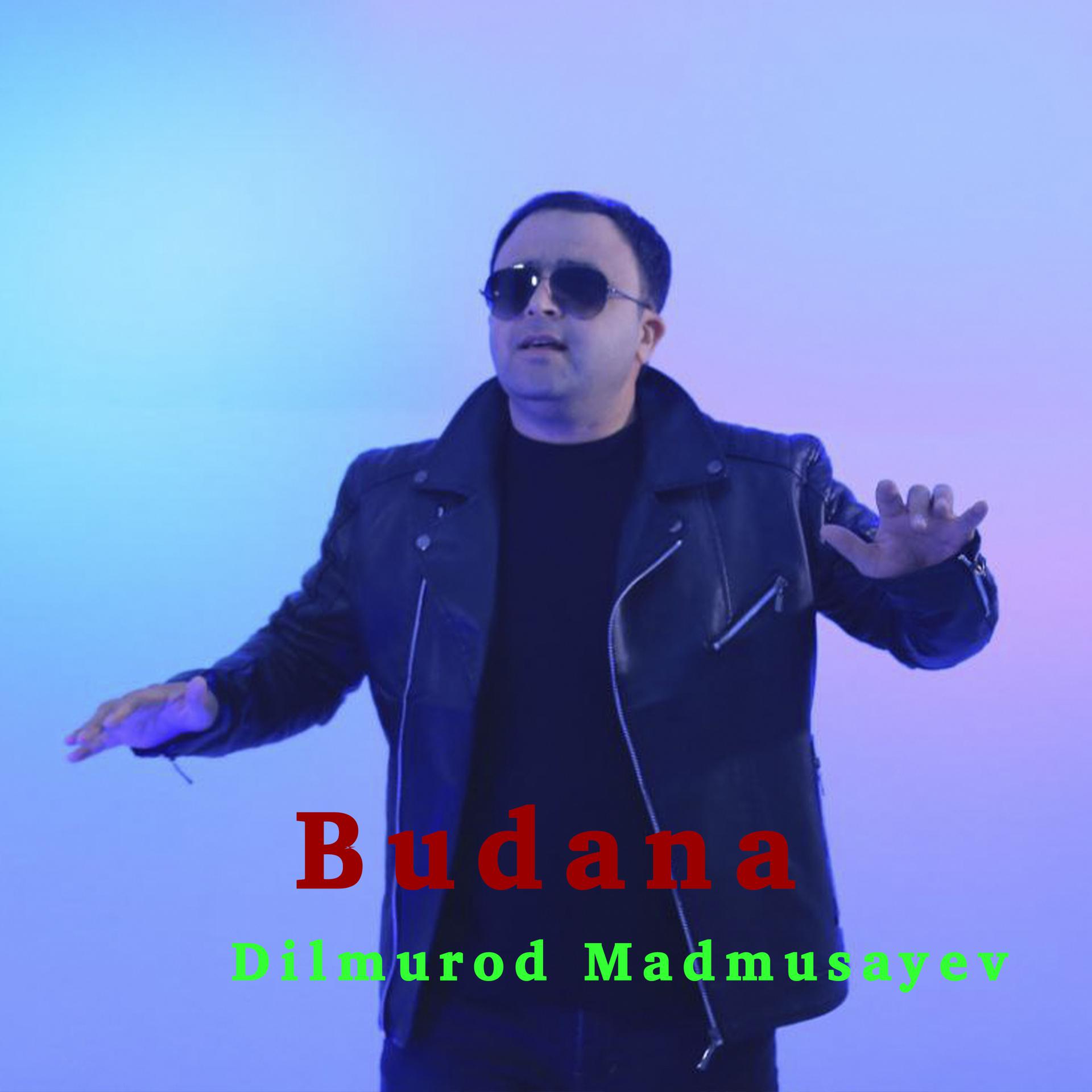 Постер альбома Budana