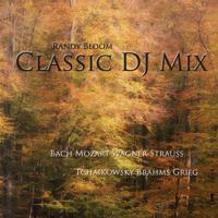 Постер альбома Classic DJ Mix - Piano & Orchestra