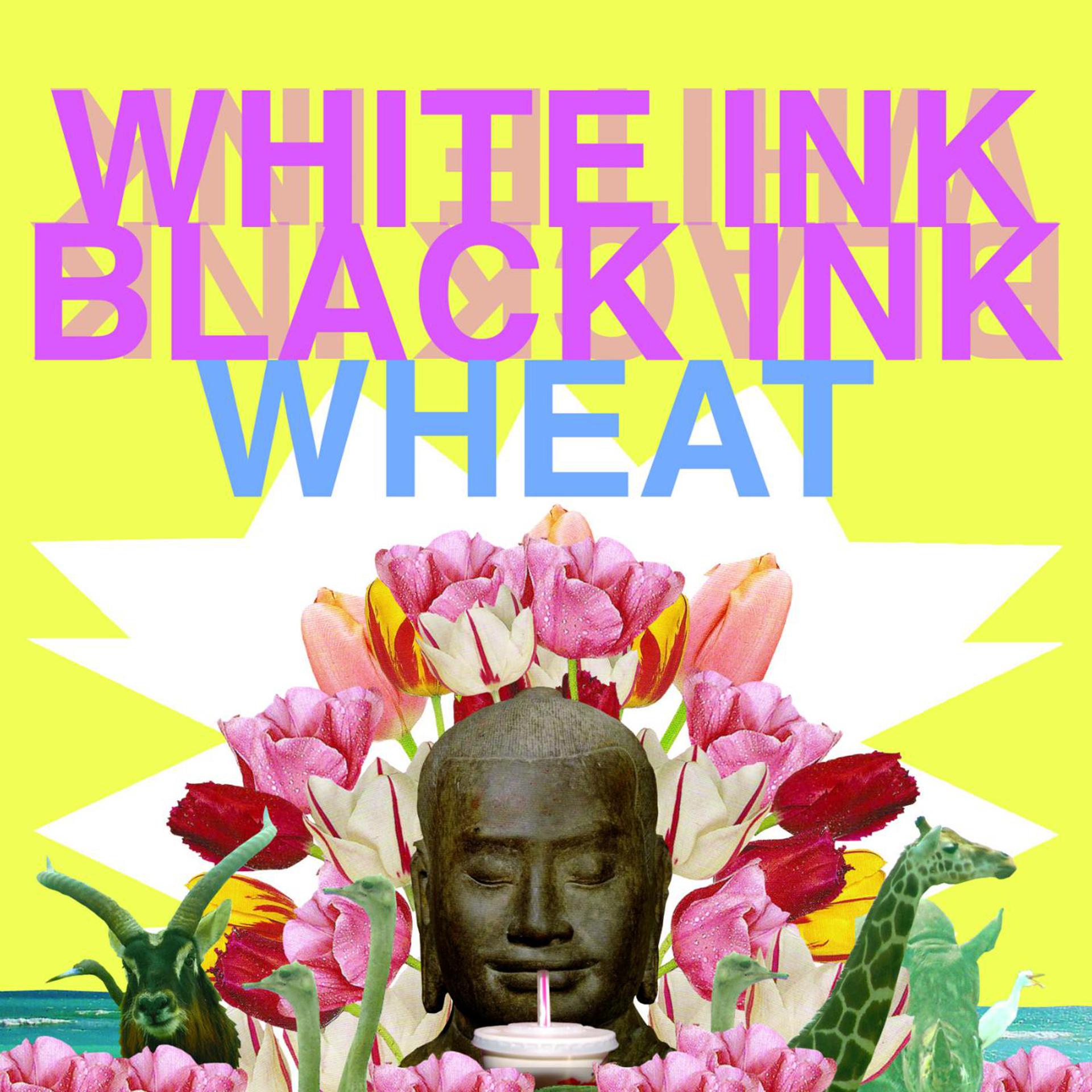Постер альбома White Ink, Black Ink