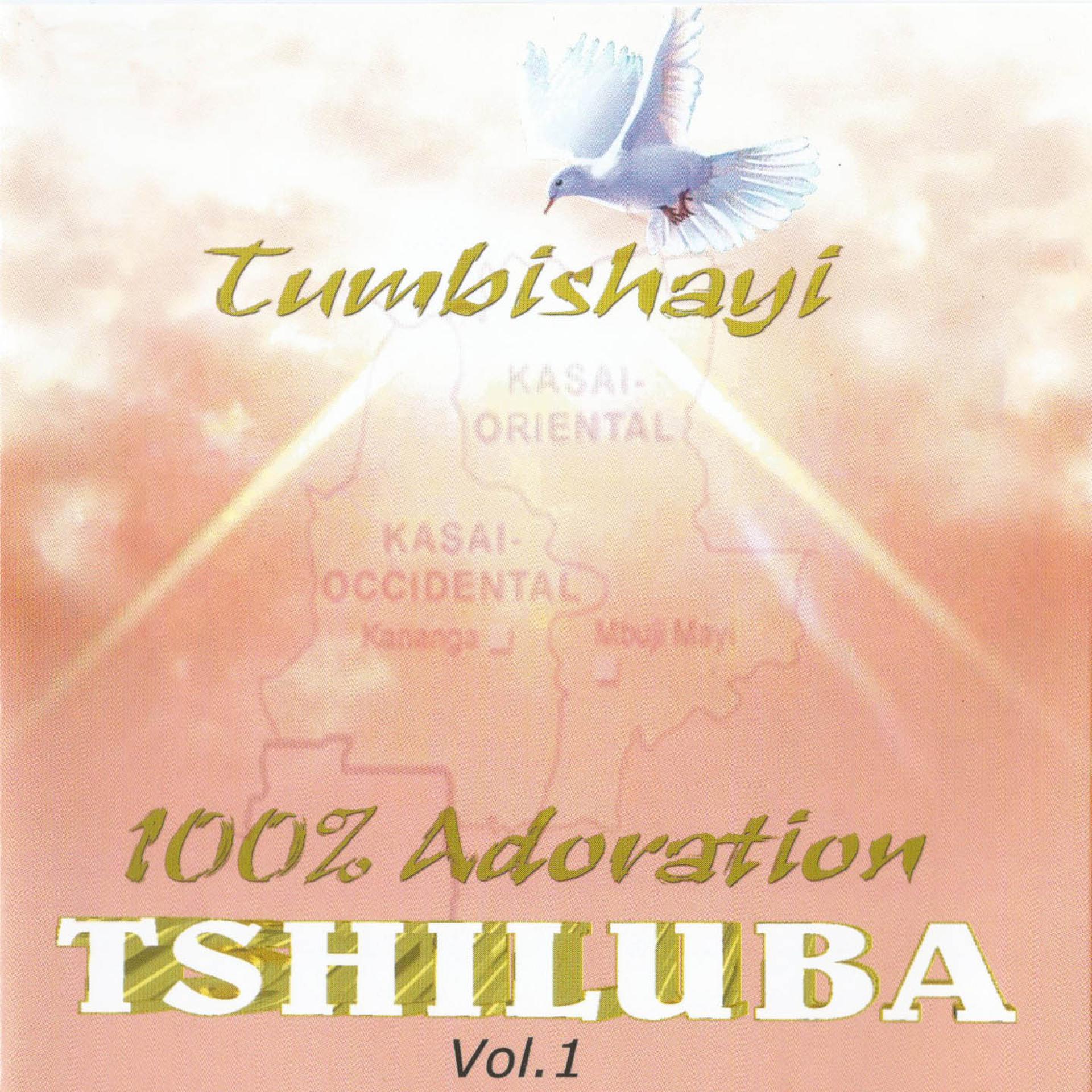 Постер альбома Tumbishayi