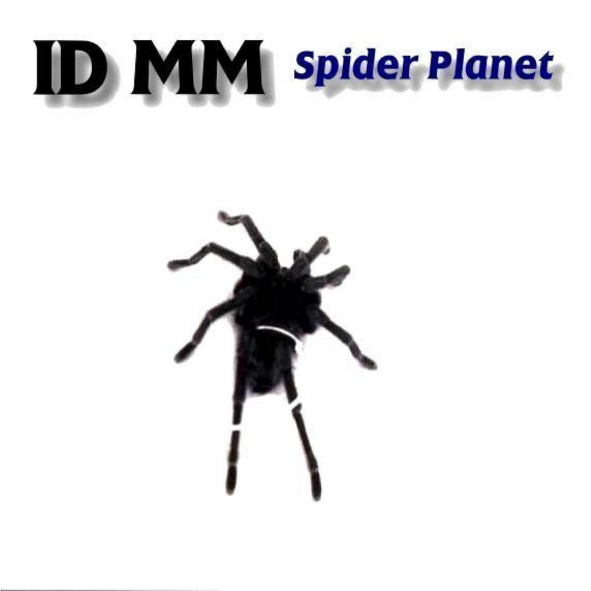 Постер альбома Spider Planet