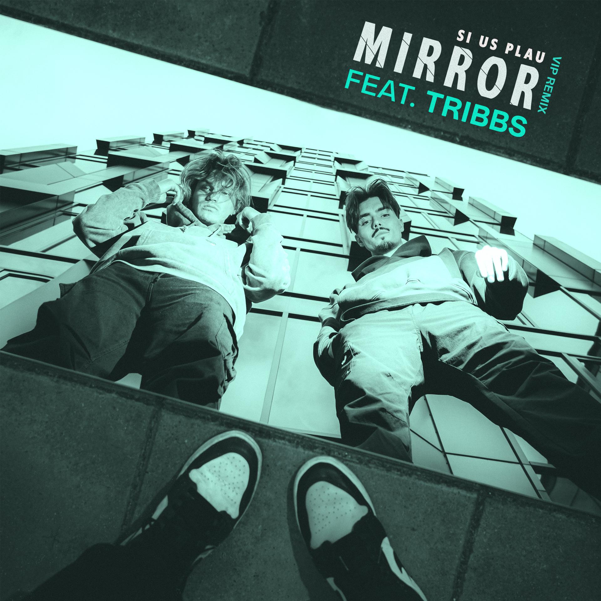 Постер альбома Mirror