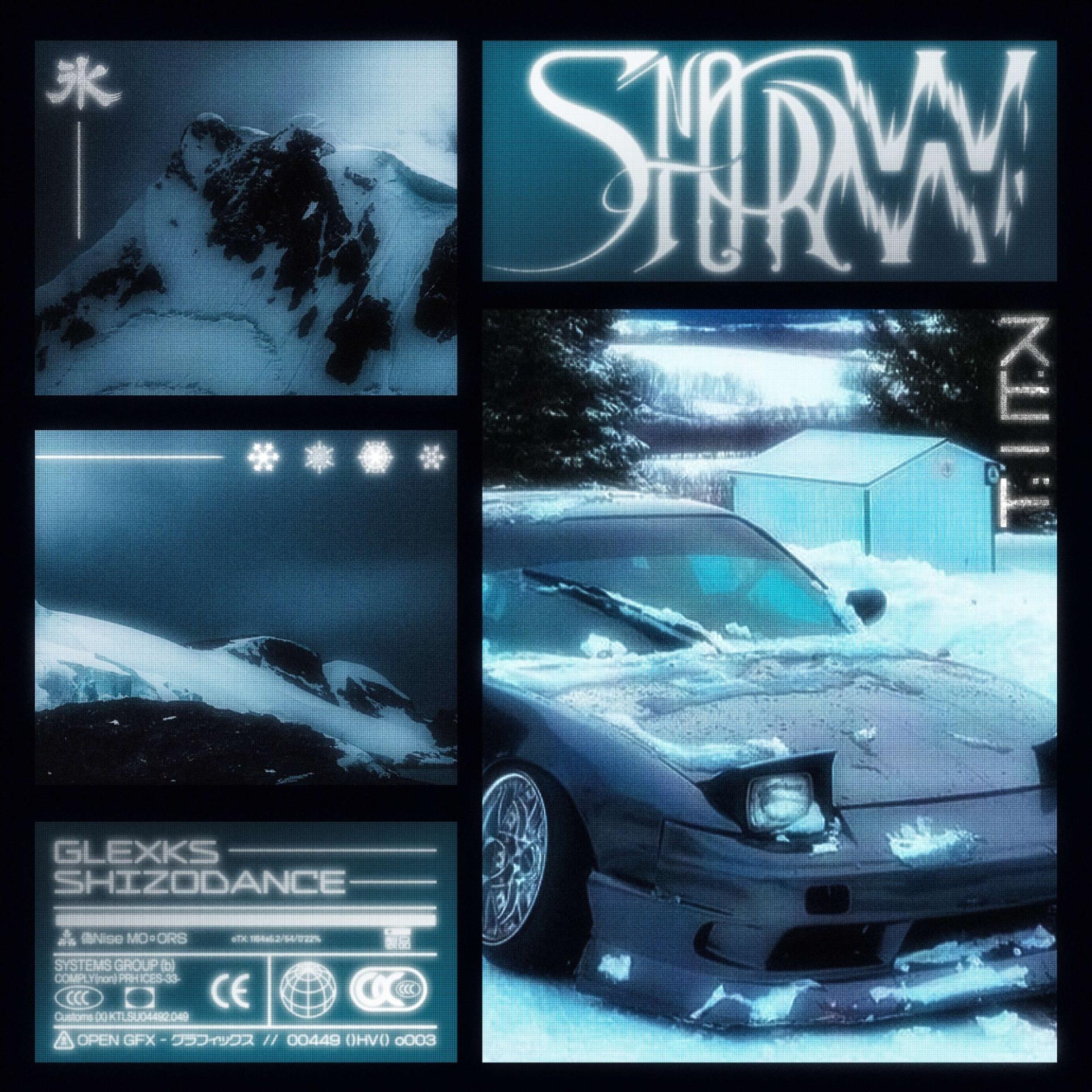 Постер альбома SNOWSTORM