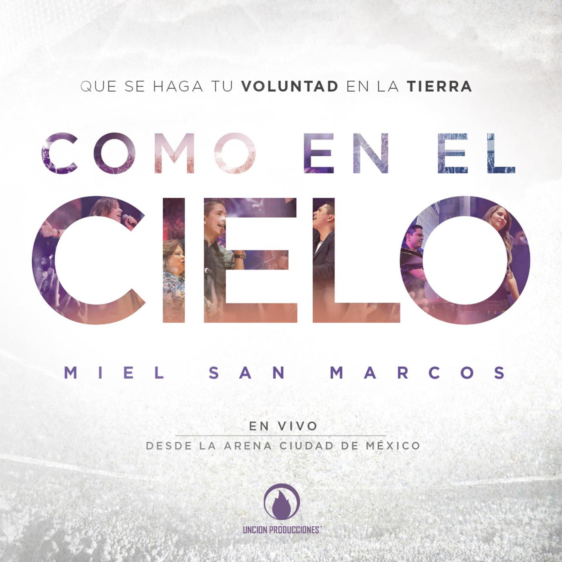Постер альбома Como En El Cielo (En Vivo)