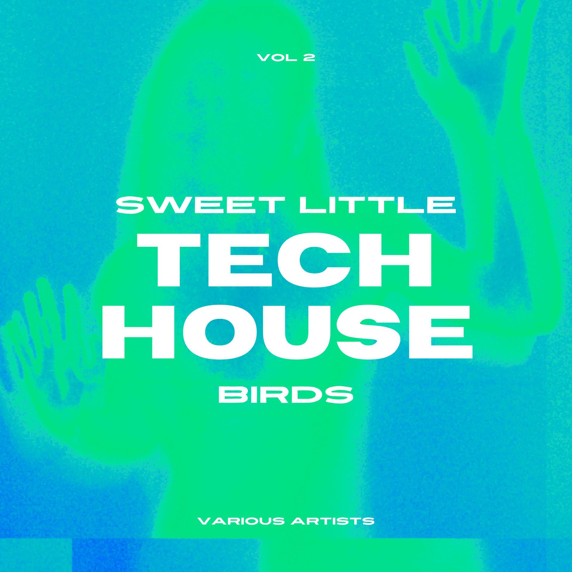 Постер альбома Sweet Little Tech House Birds, Vol. 2