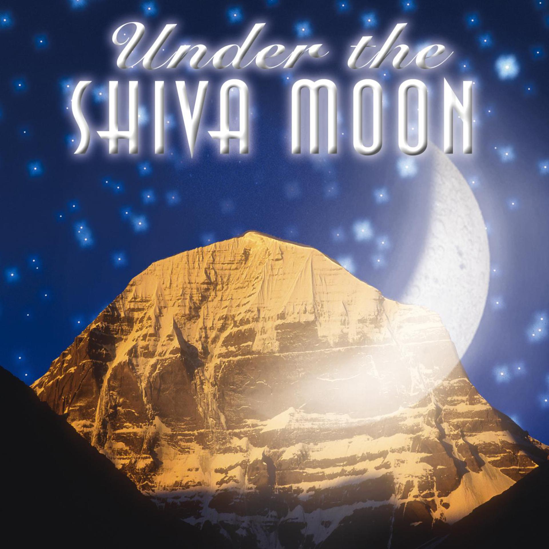 Постер альбома Under the Shiva Moon
