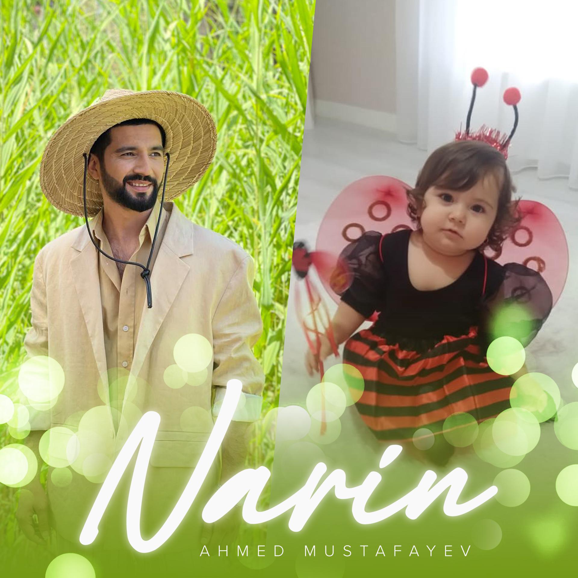Постер альбома Narin