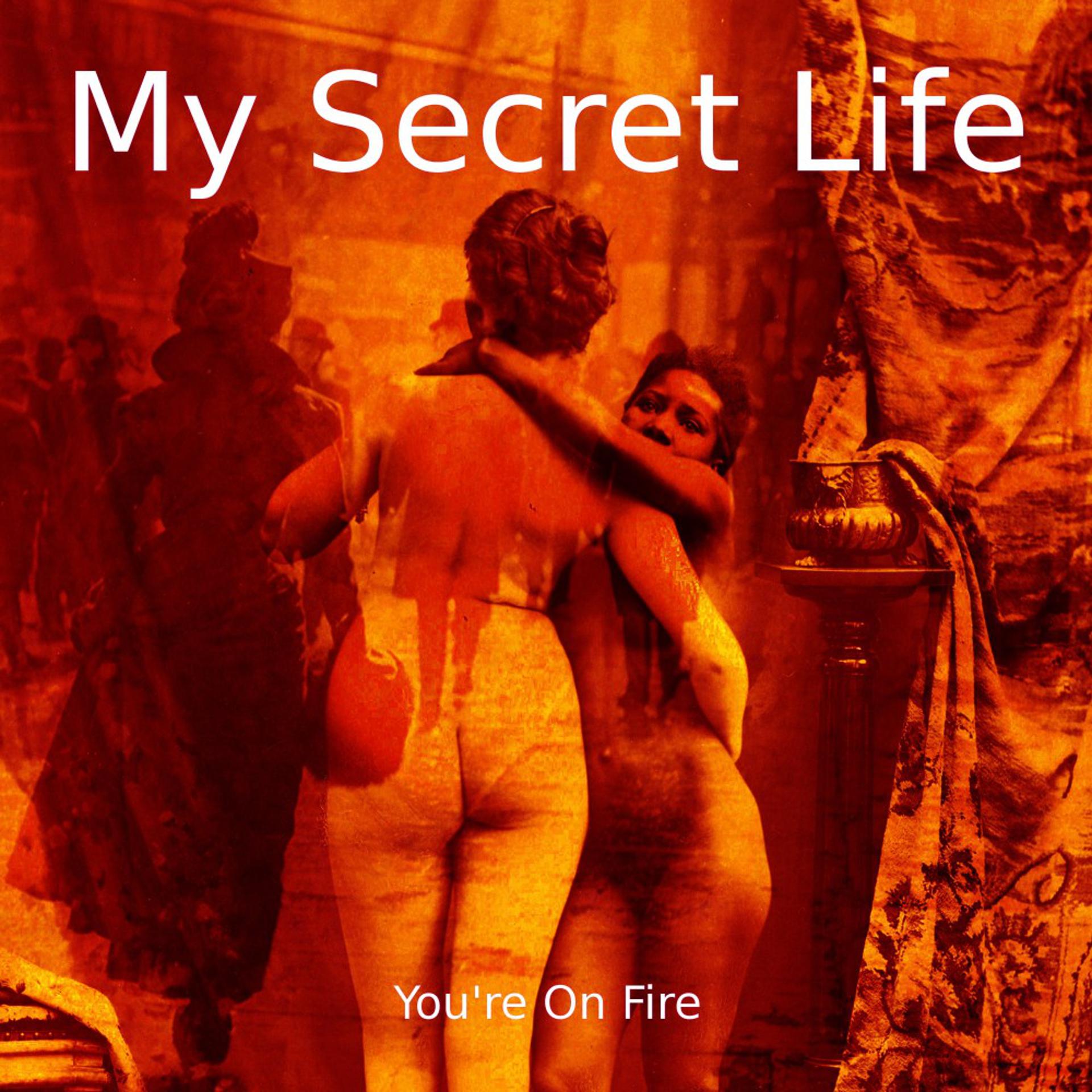 Постер альбома You're on Fire (My Secret Life, Vol. 8 Chapter 5)