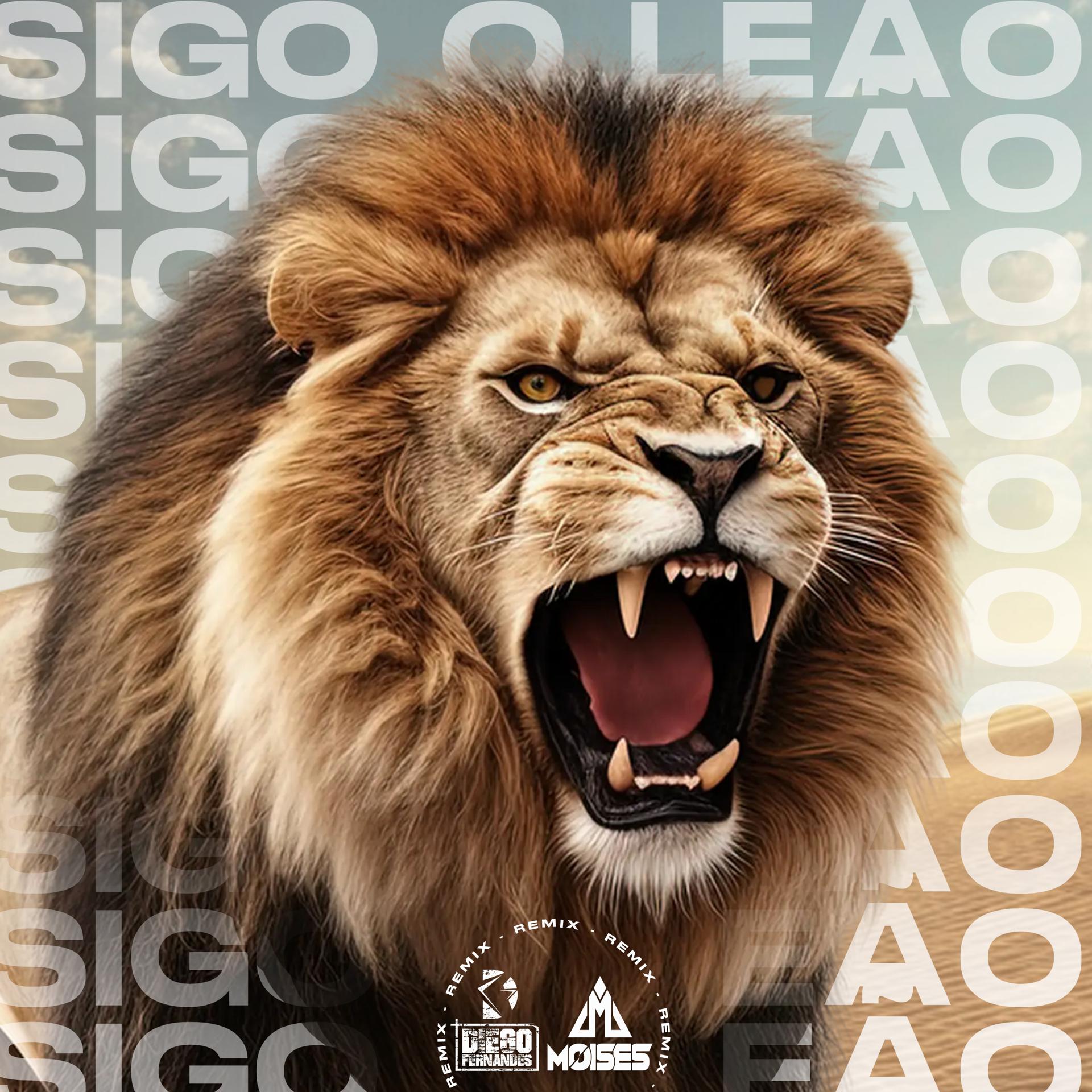Постер альбома Sigo o Leão