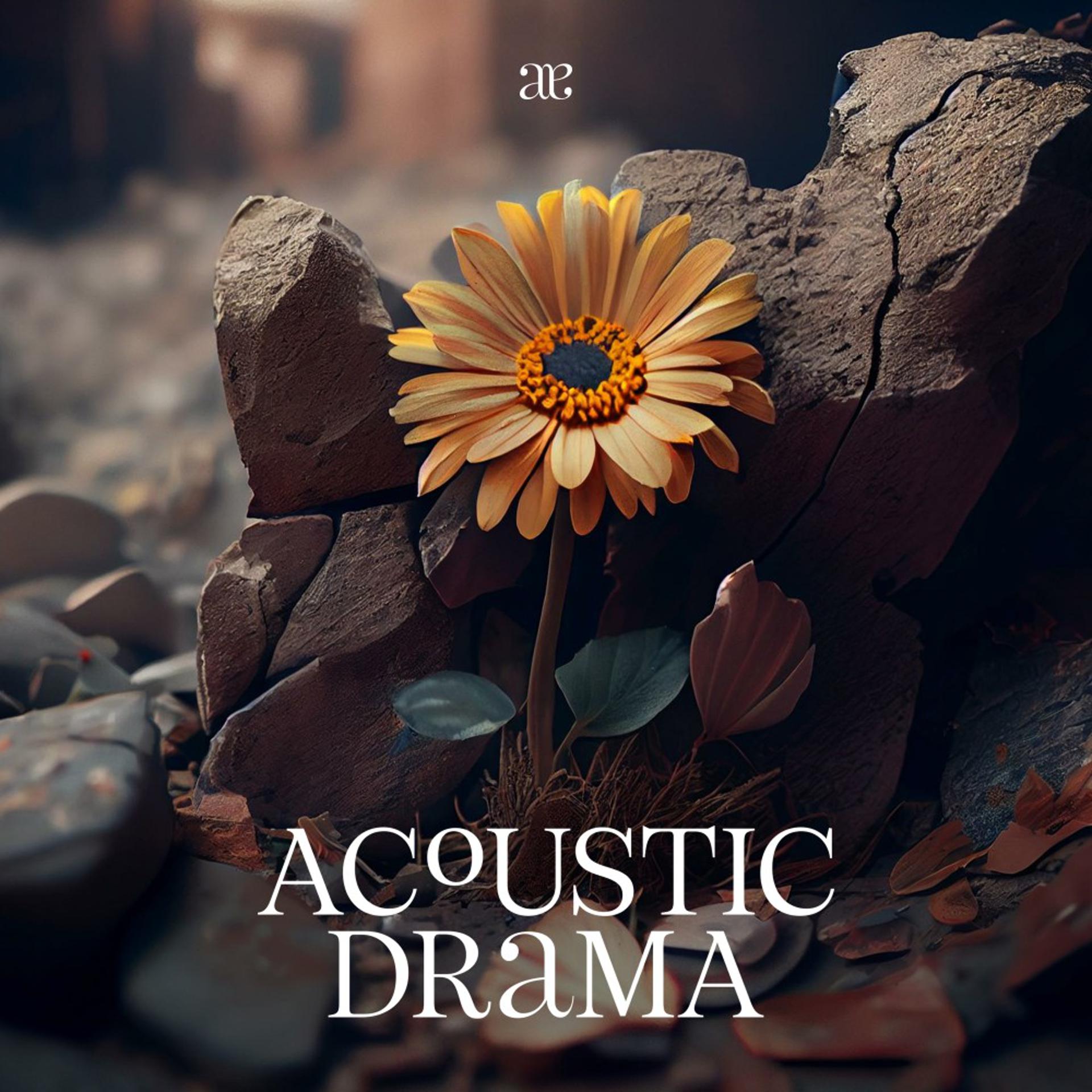 Постер альбома Acoustic Drama