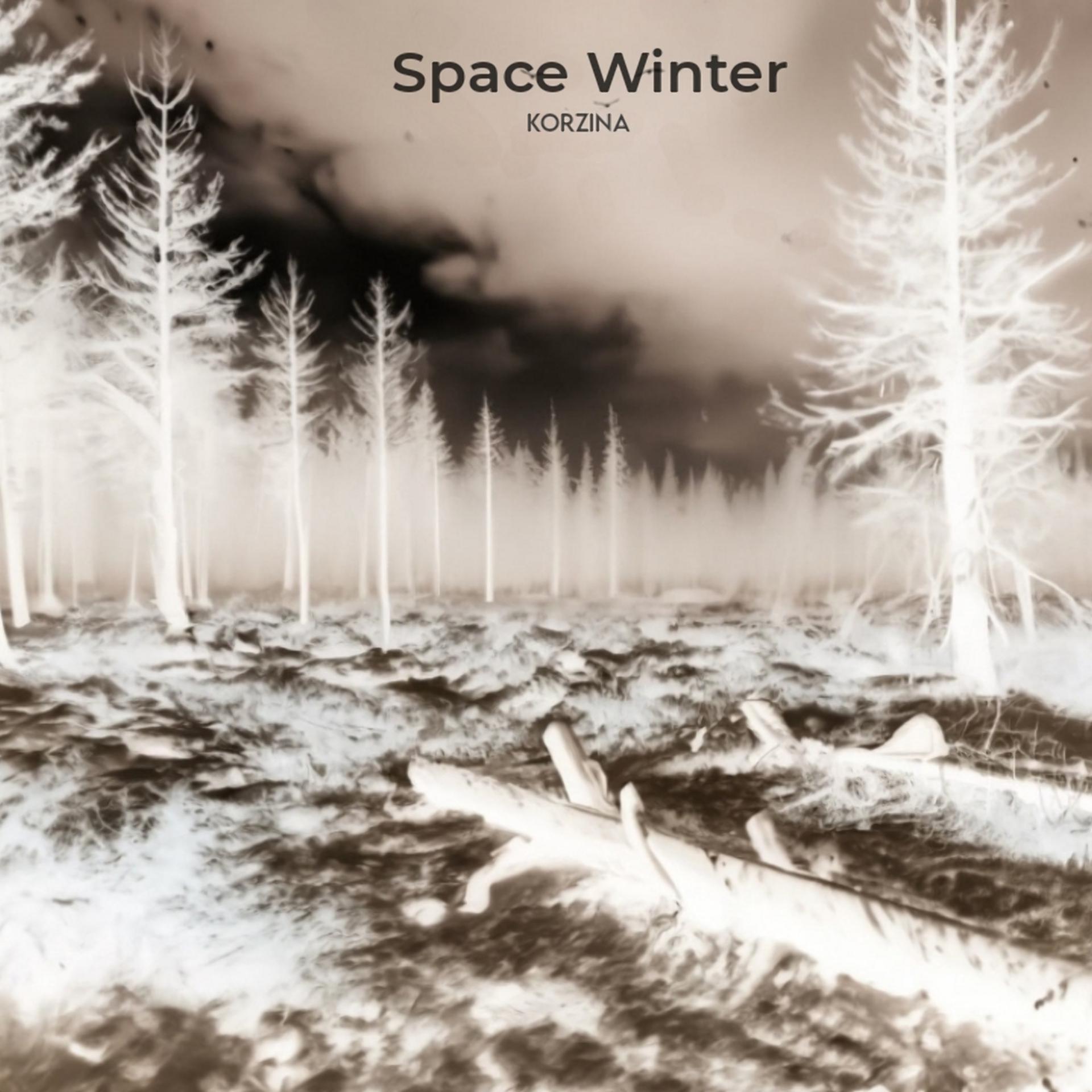 Постер альбома Space Winter