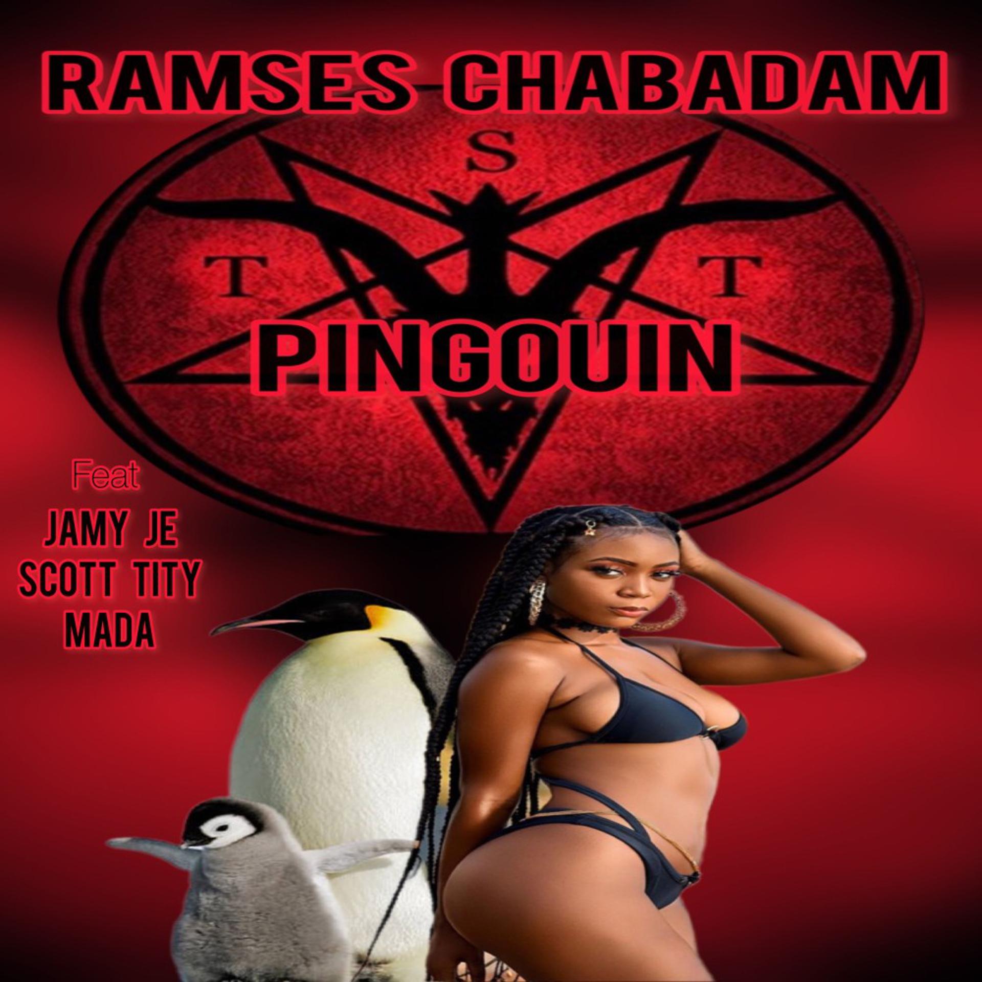 Постер альбома Pingouin