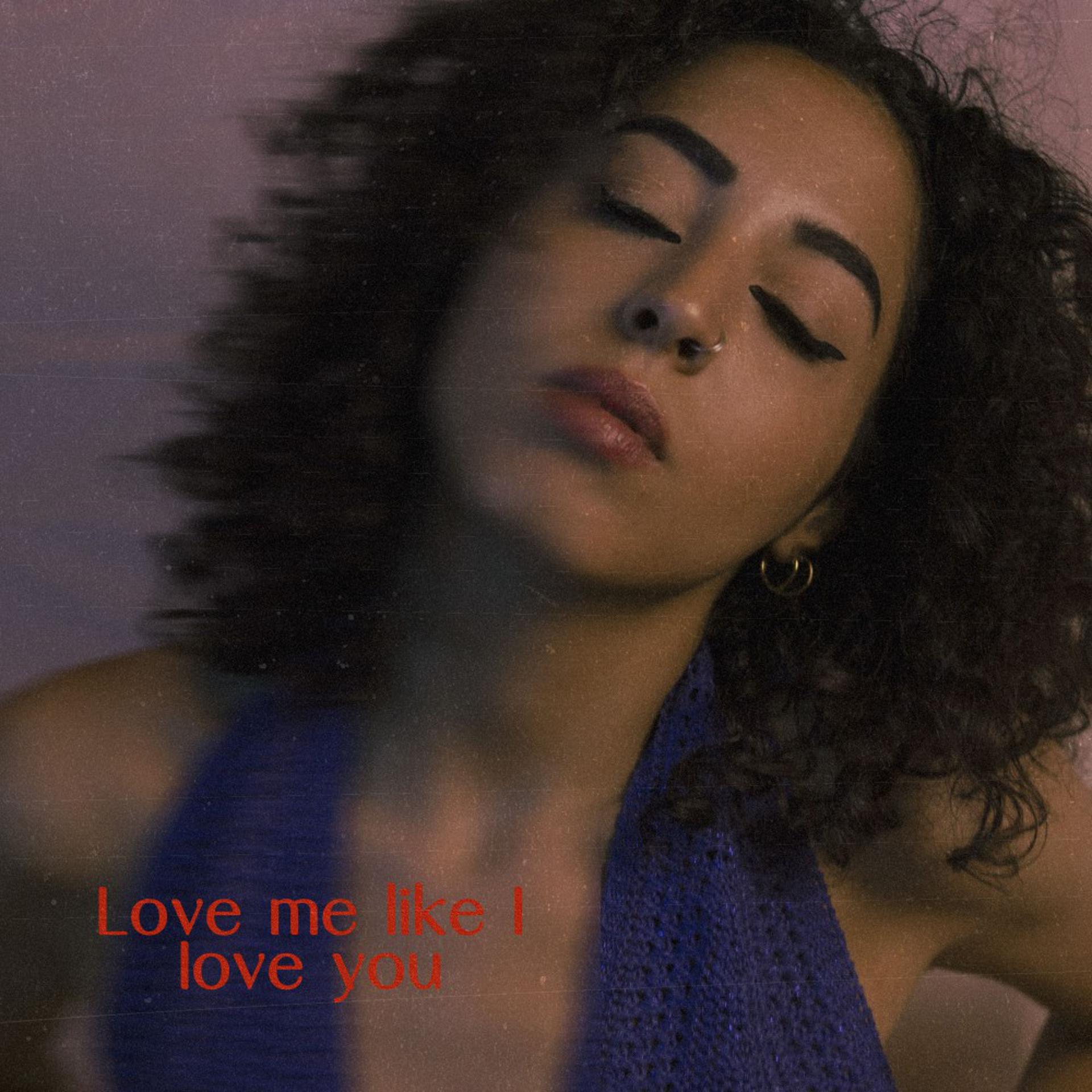 Постер альбома Love Me Like I Love You