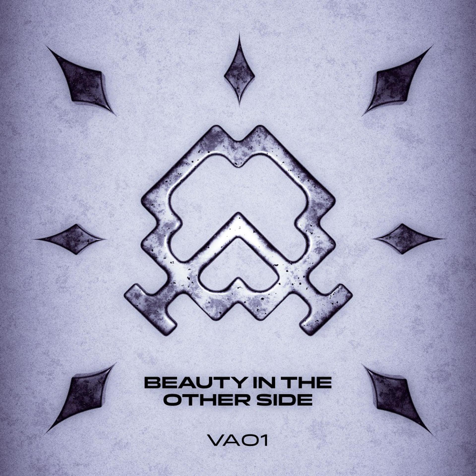 Постер альбома Beauty in the Other Side VA01