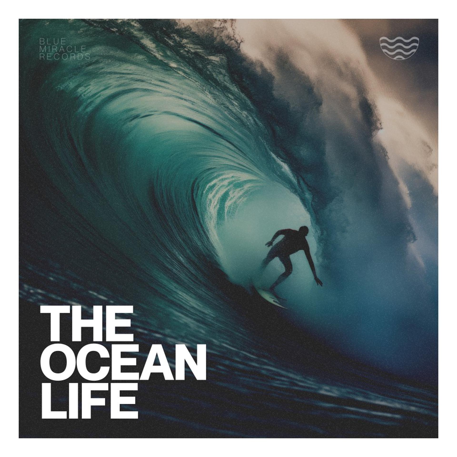 Постер альбома The Ocean Life
