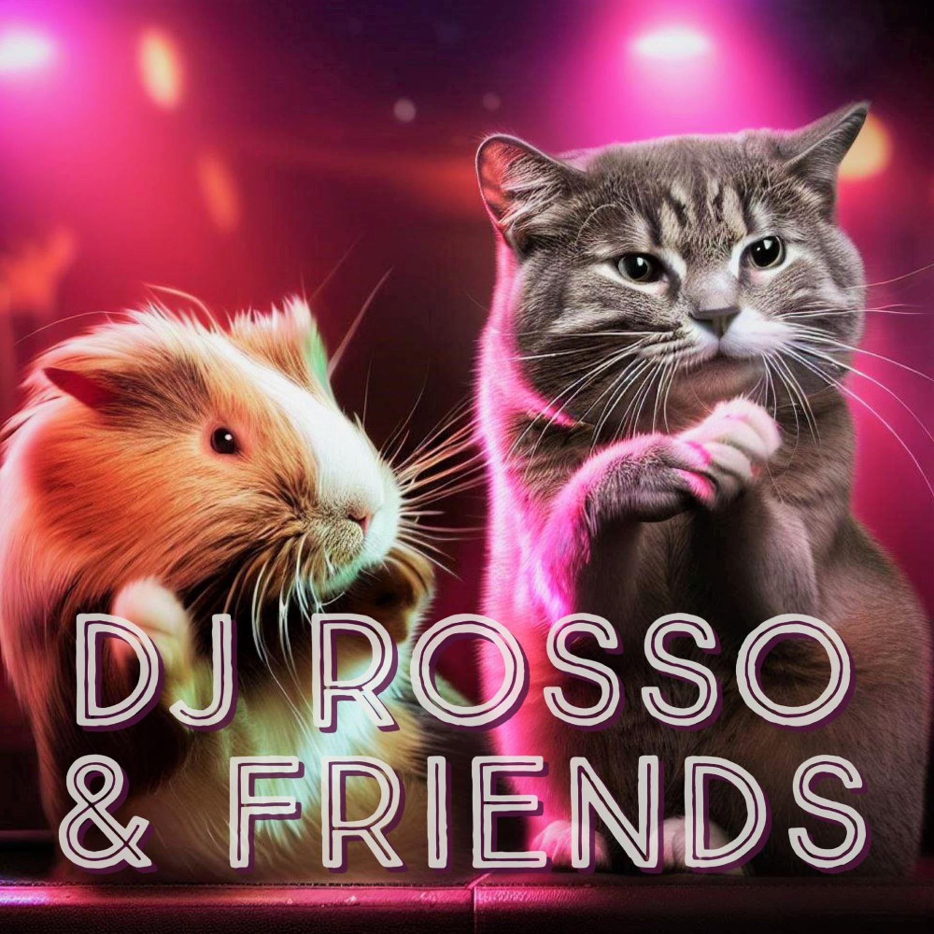 Постер альбома DJ Rosso & Friends
