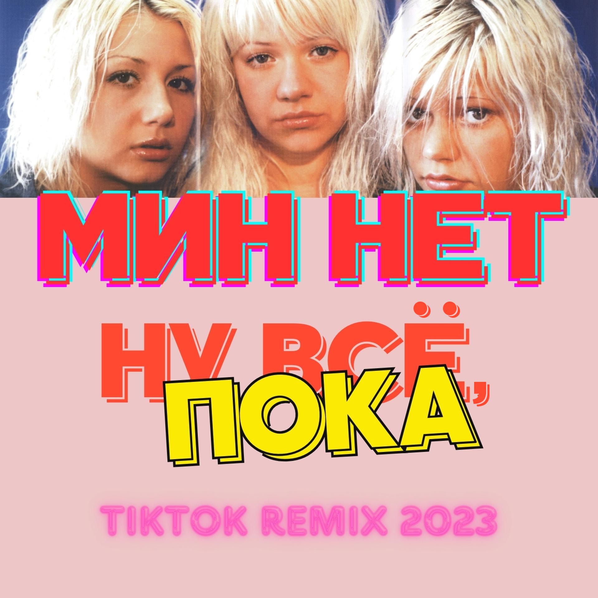 Постер альбома Ну всё, пока (TikTok Remix 2023)