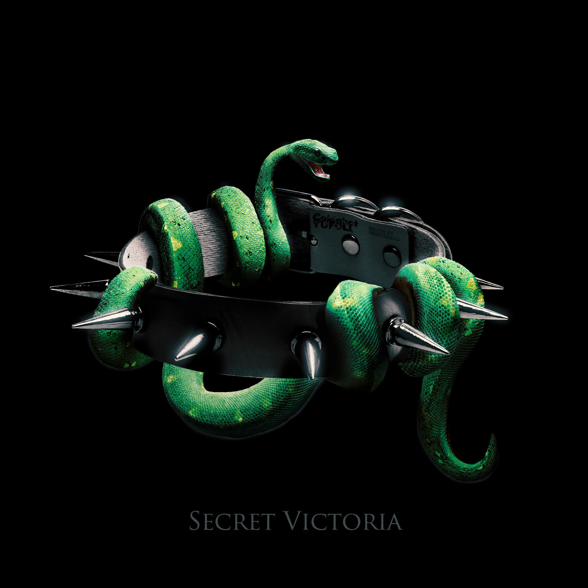 Постер альбома Secret Victoria