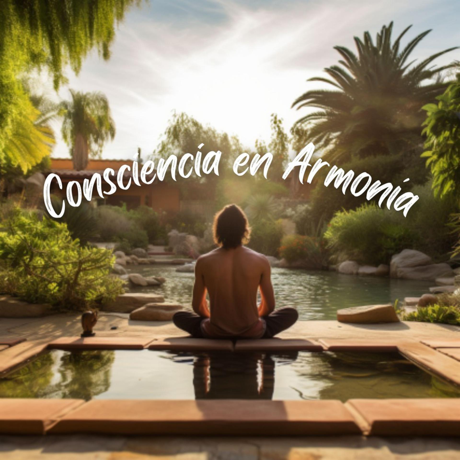 Постер альбома Consciencia en Armonía