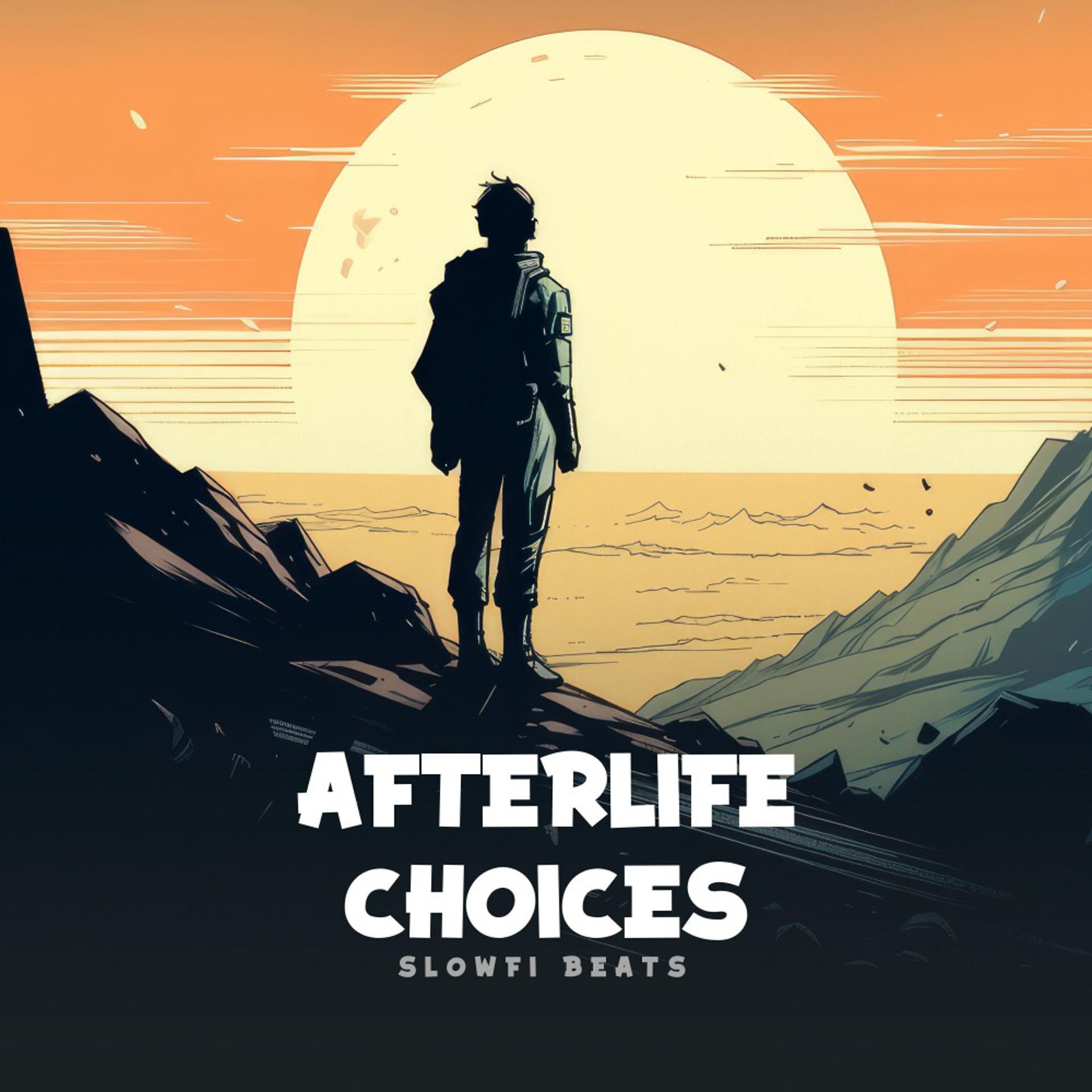 Постер альбома Afterlife Choices