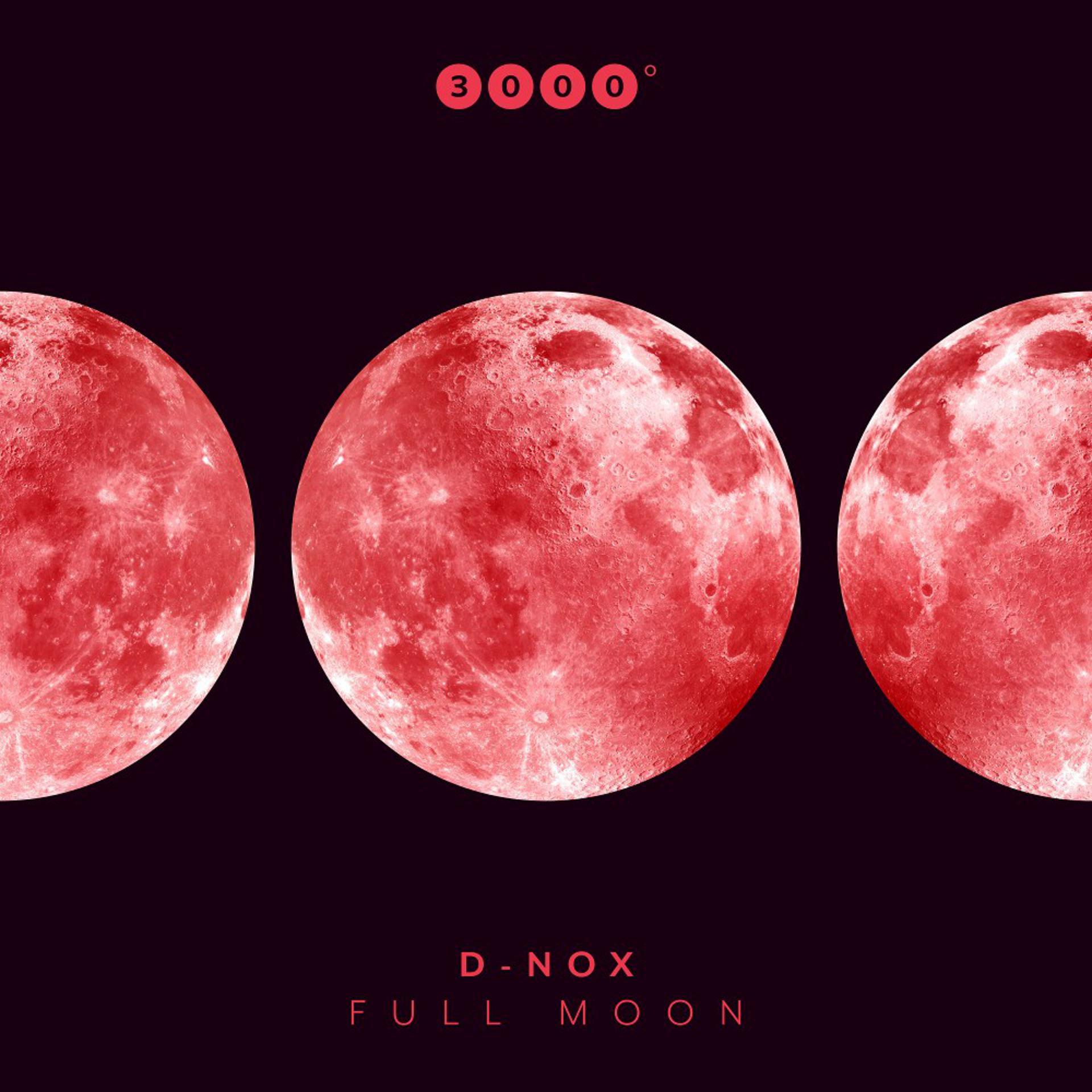 Постер альбома Full Moon ( Green Lake Project Remix )